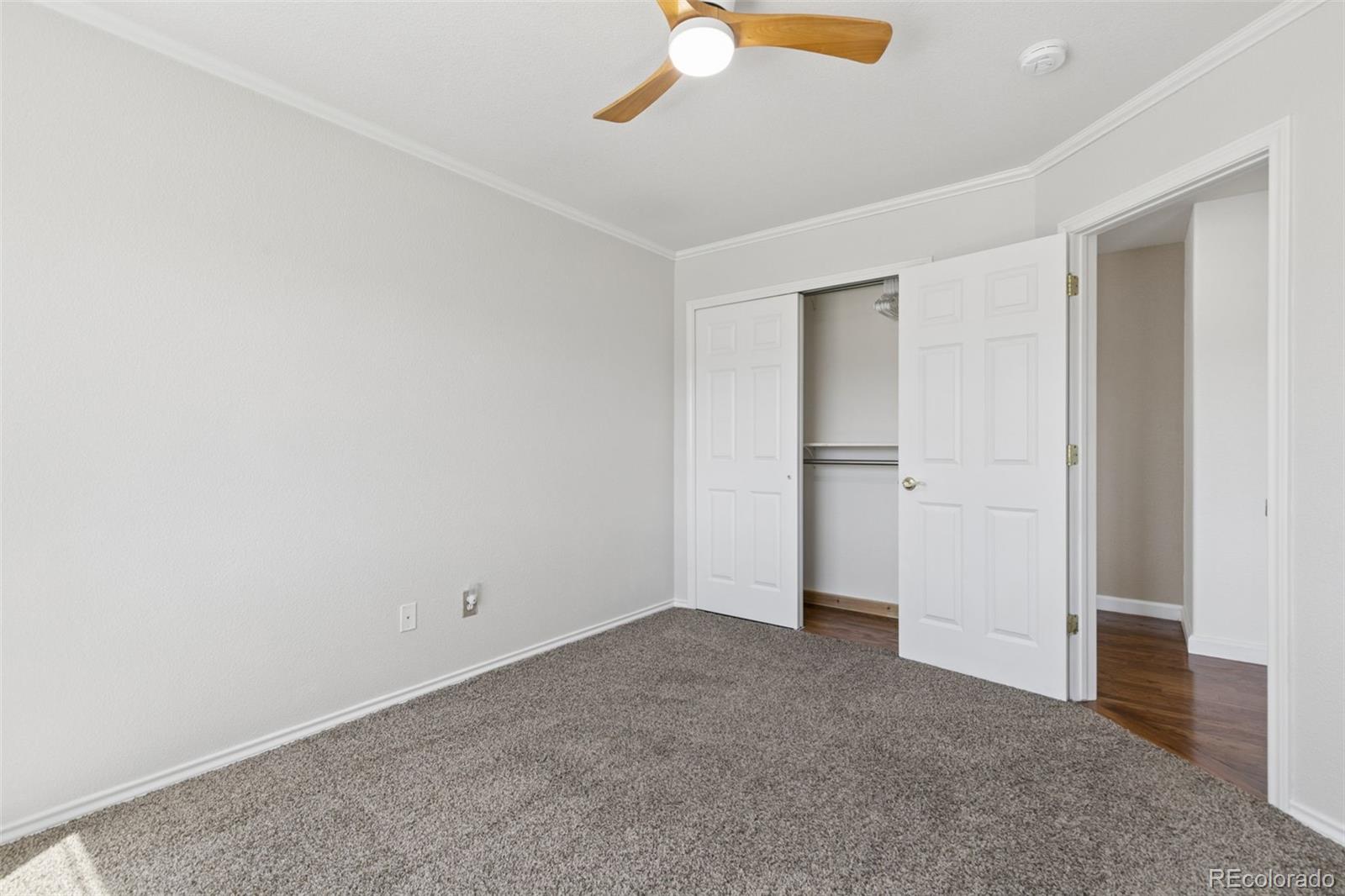 MLS Image #32 for 1622  lookout springs drive,colorado springs, Colorado