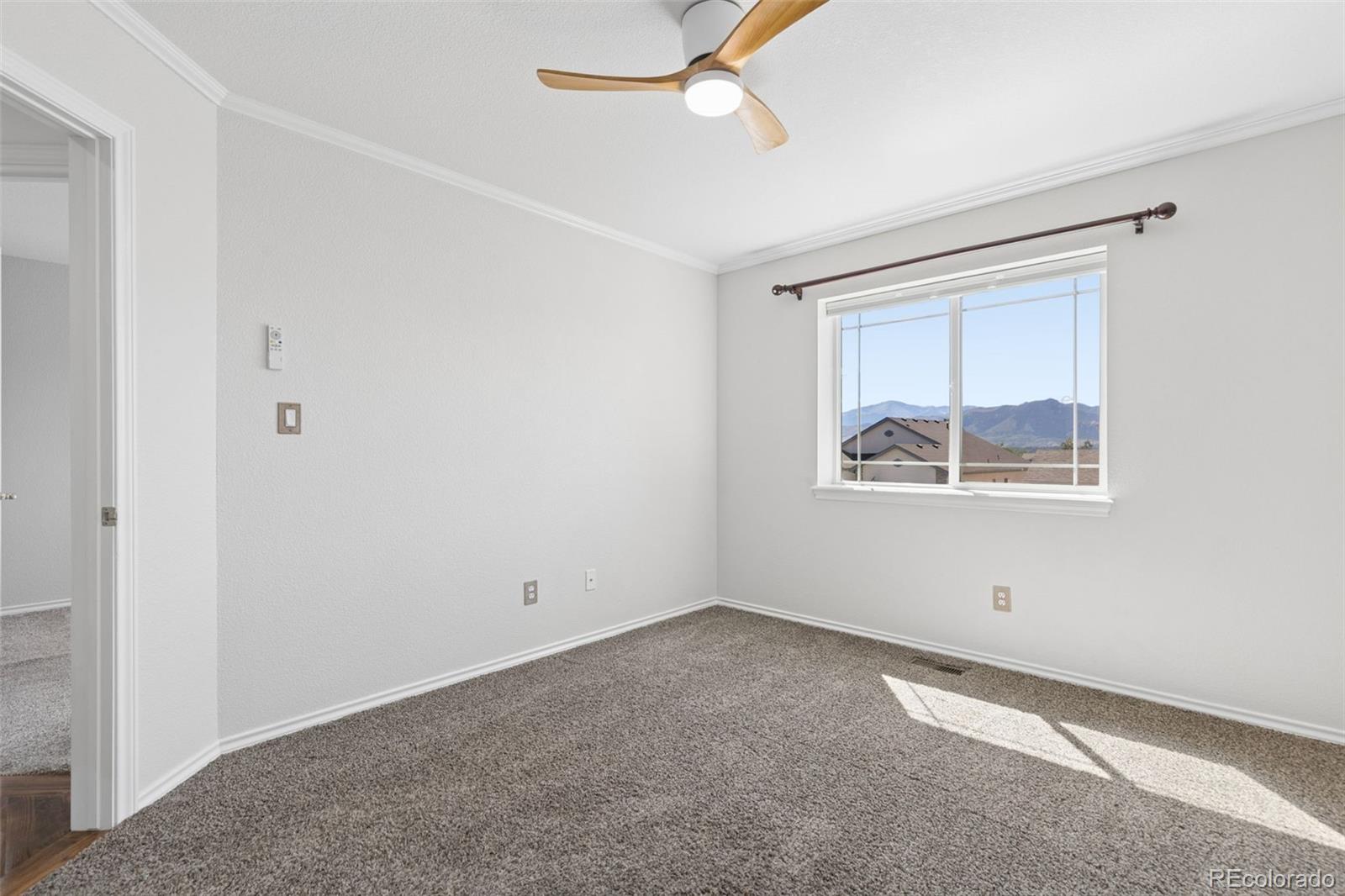 MLS Image #33 for 1622  lookout springs drive,colorado springs, Colorado
