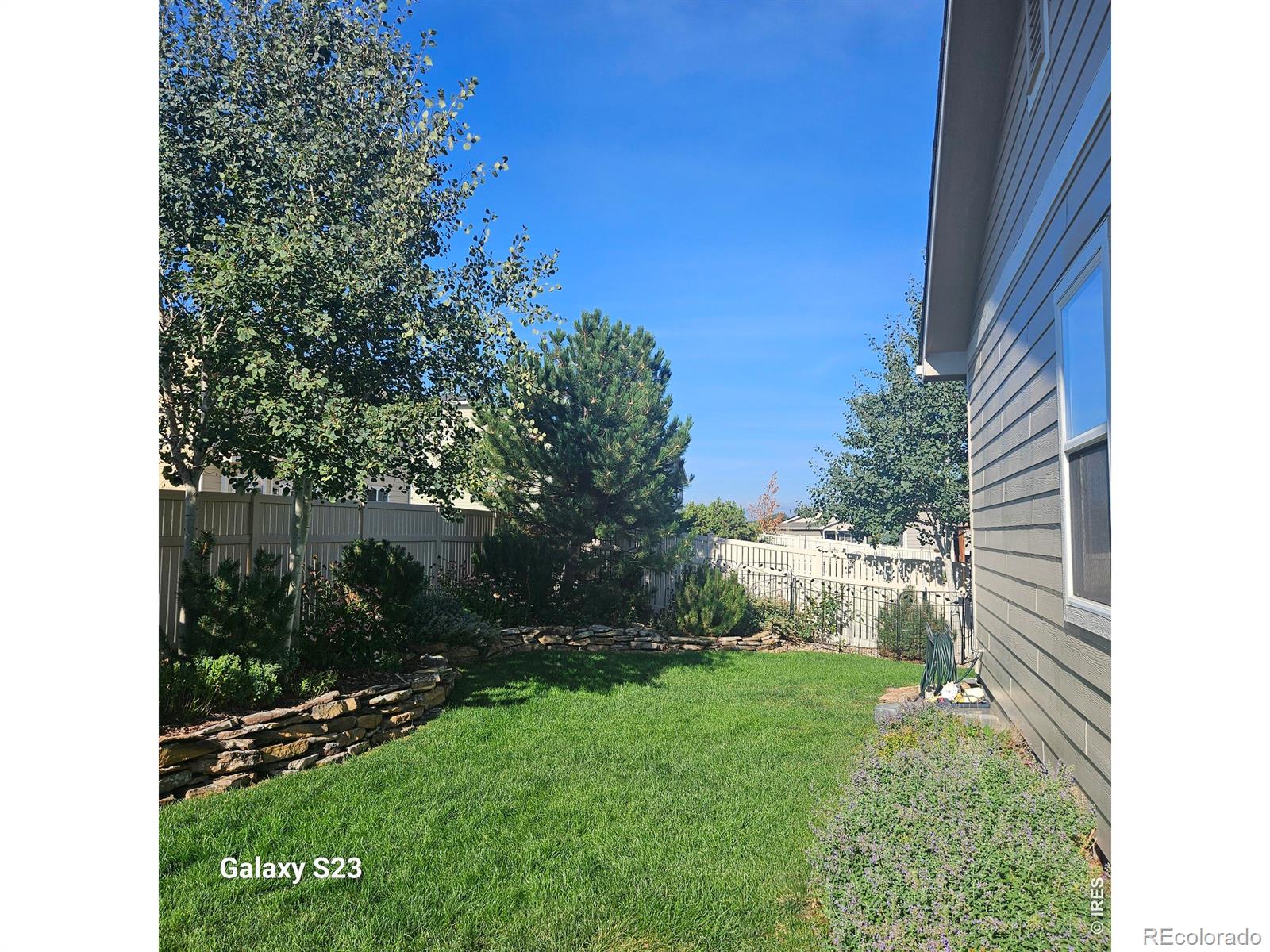 MLS Image #23 for 5606  tumbleweed avenue,firestone, Colorado