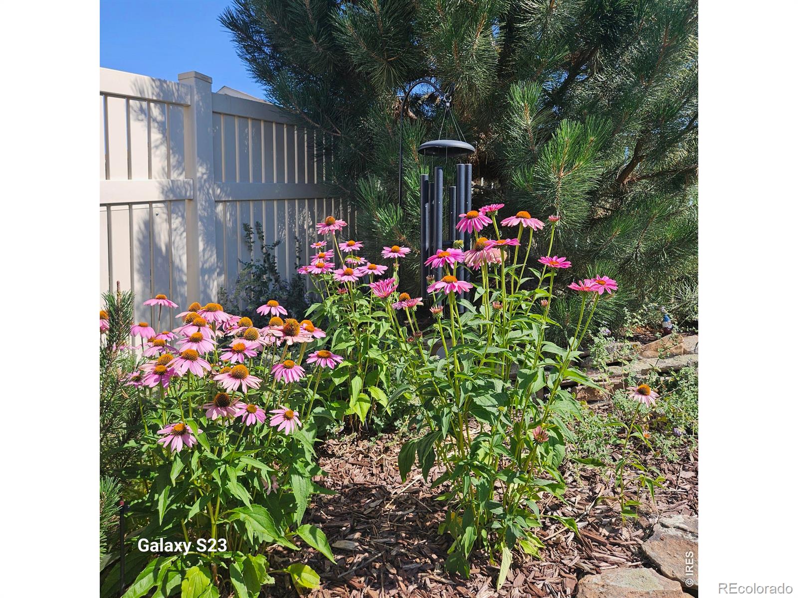 MLS Image #24 for 5606  tumbleweed avenue,firestone, Colorado