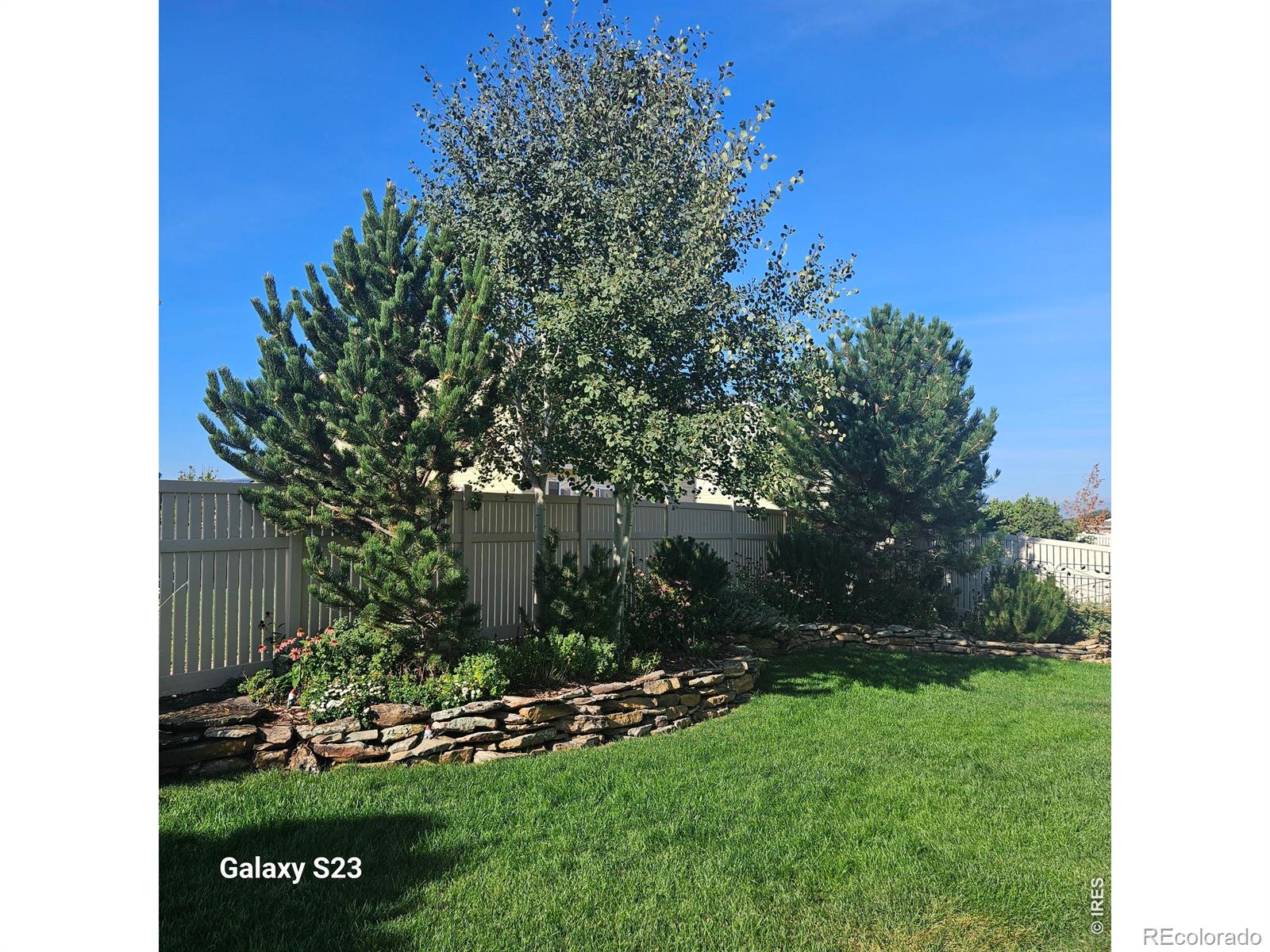MLS Image #26 for 5606  tumbleweed avenue,firestone, Colorado