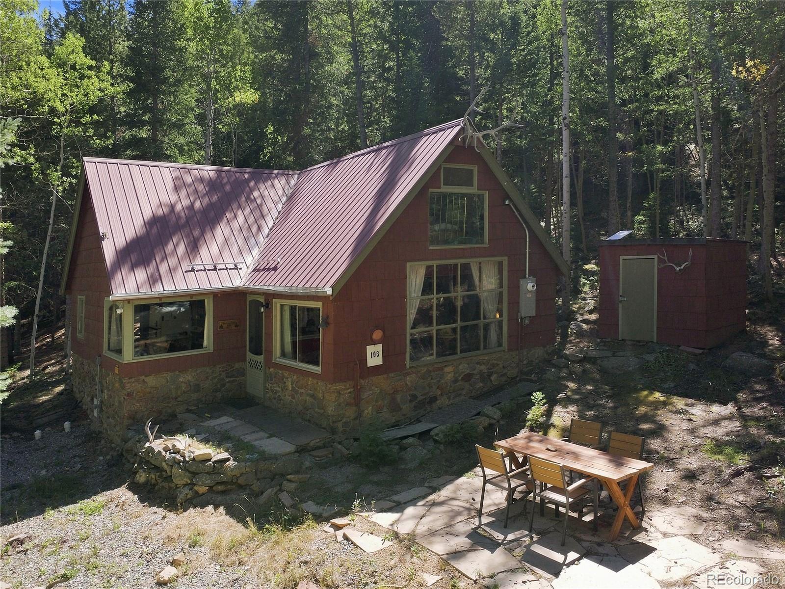 MLS Image #1 for 103  forest haven lane,idaho springs, Colorado