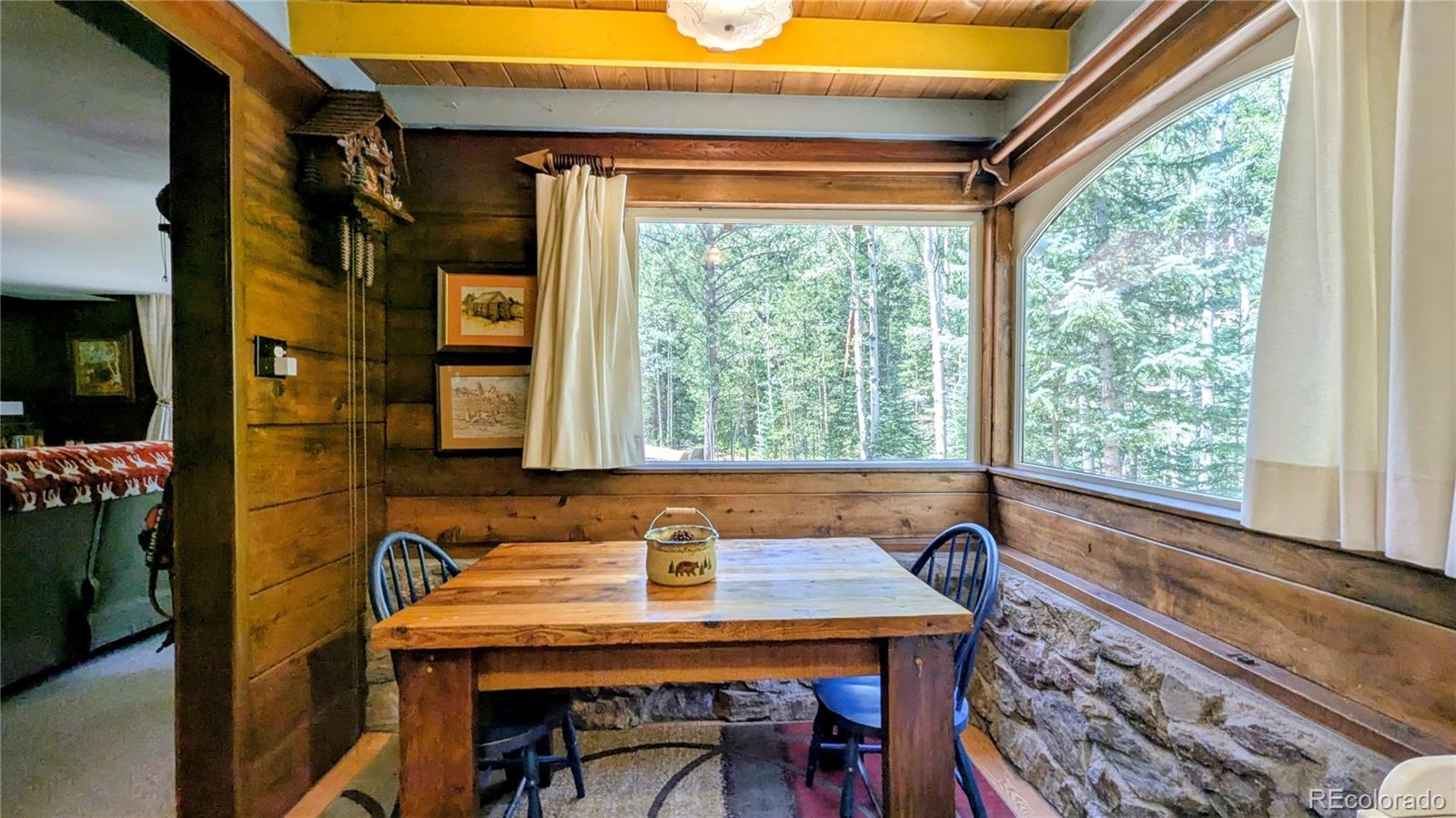 MLS Image #10 for 103  forest haven lane,idaho springs, Colorado
