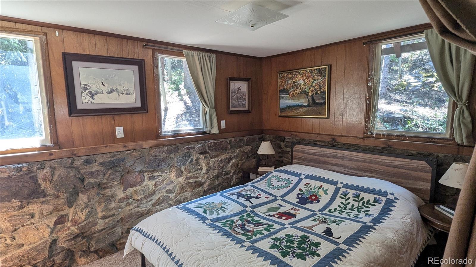 MLS Image #14 for 103  forest haven lane,idaho springs, Colorado