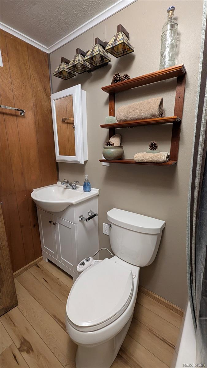 MLS Image #15 for 103  forest haven lane,idaho springs, Colorado