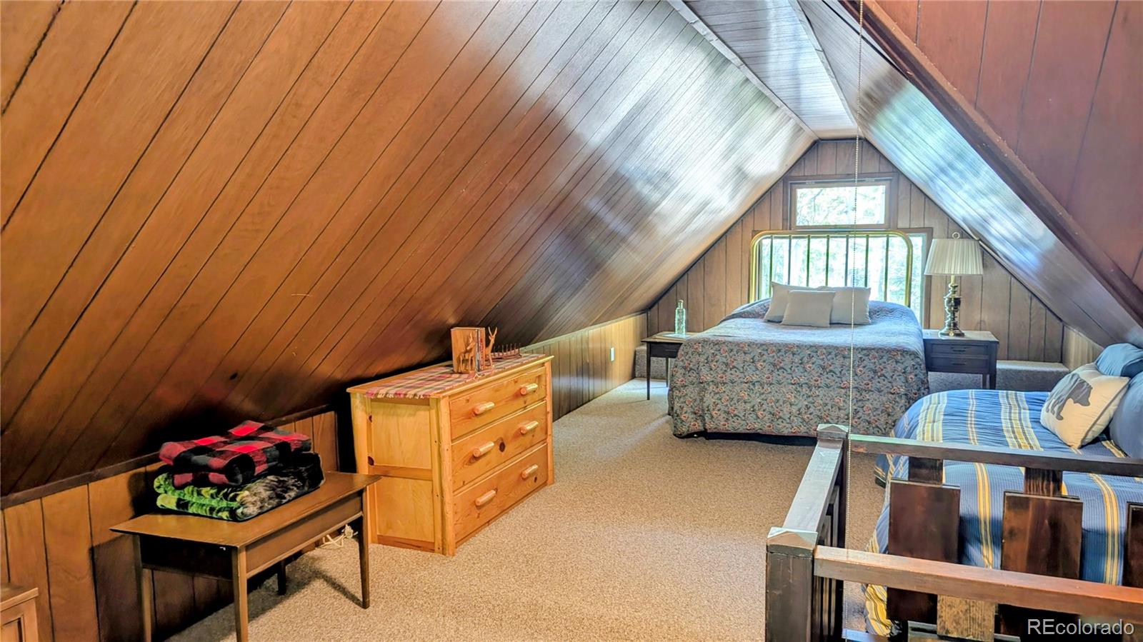 MLS Image #18 for 103  forest haven lane,idaho springs, Colorado