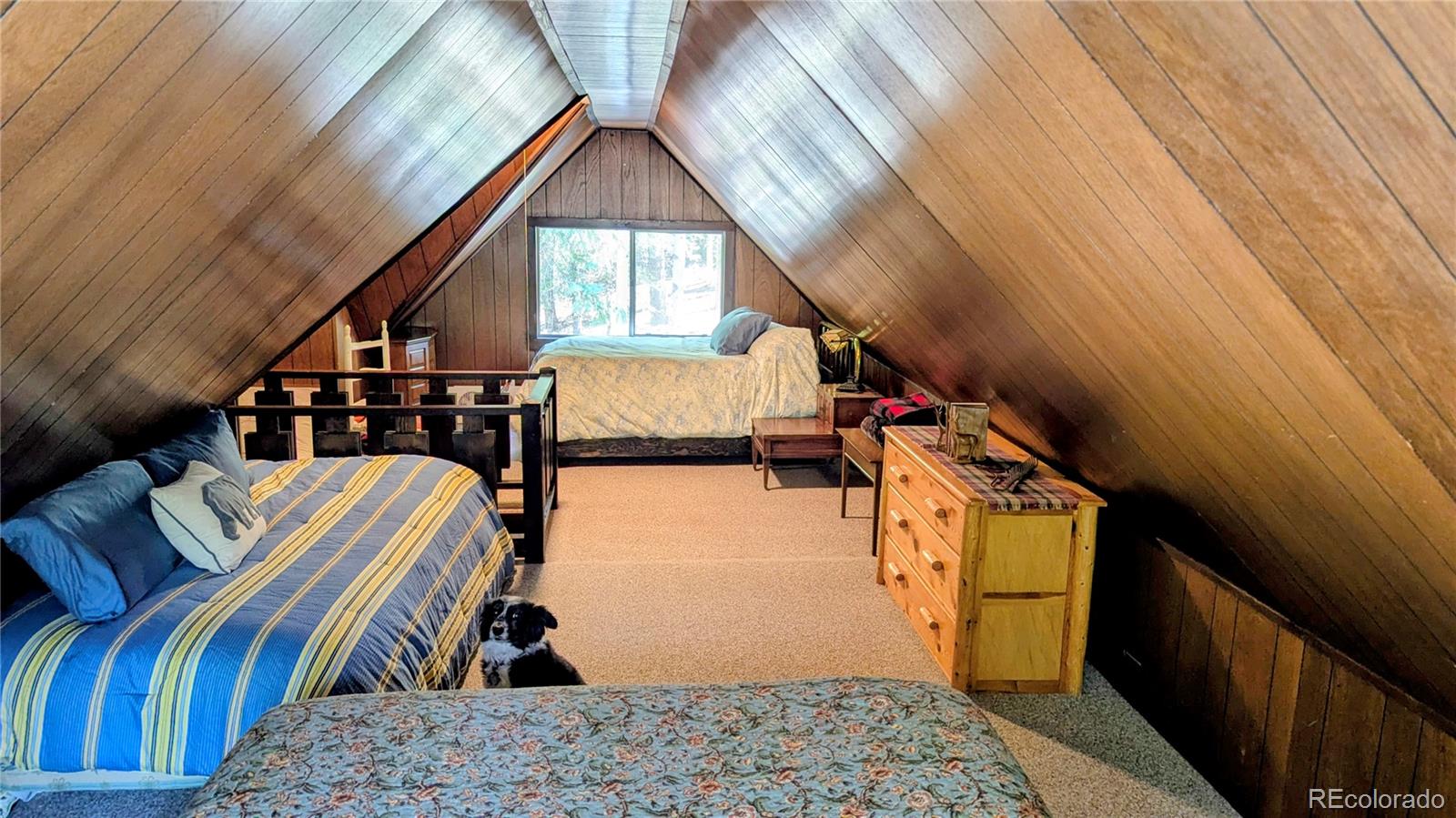 MLS Image #19 for 103  forest haven lane,idaho springs, Colorado