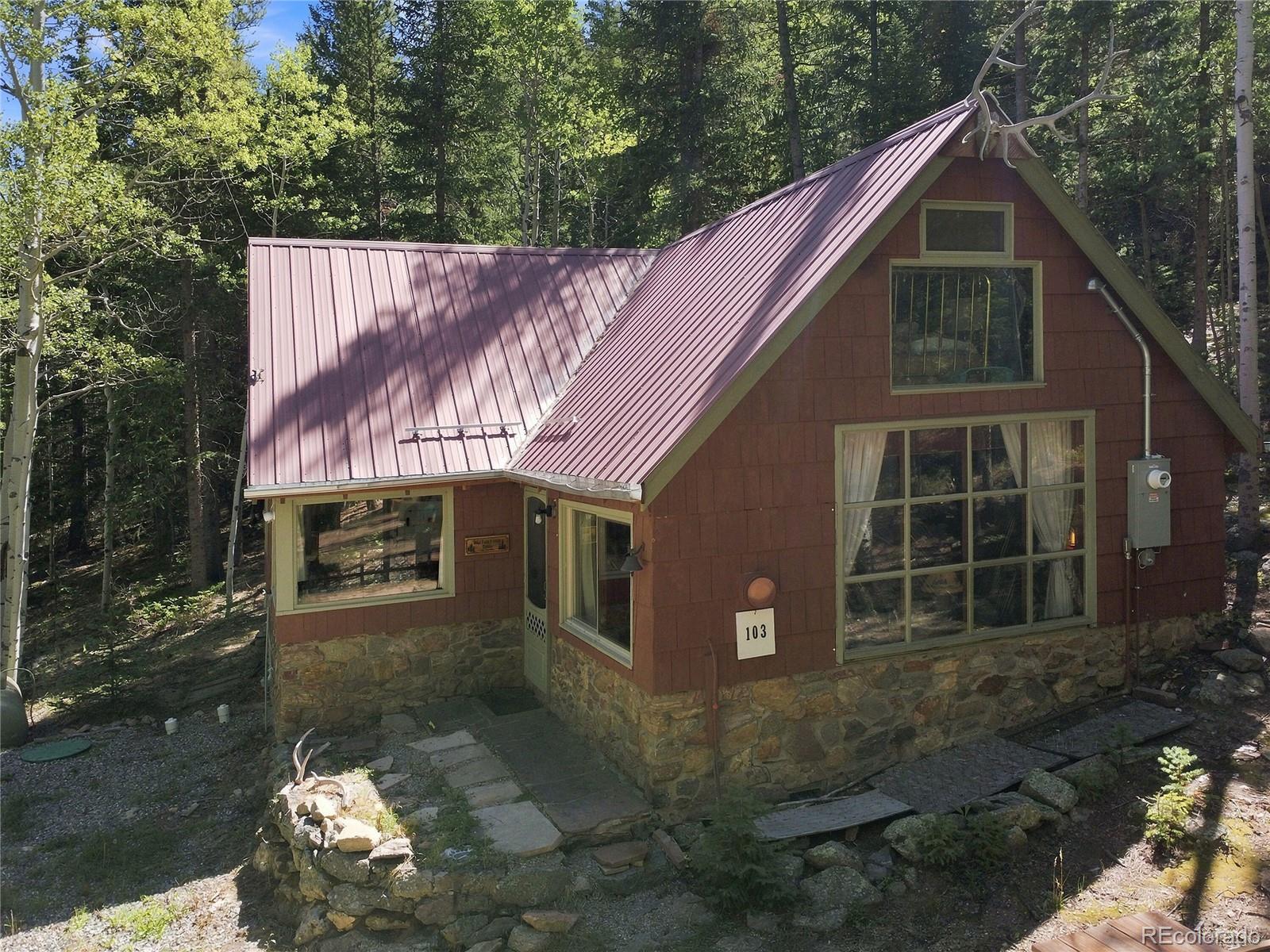MLS Image #2 for 103  forest haven lane,idaho springs, Colorado