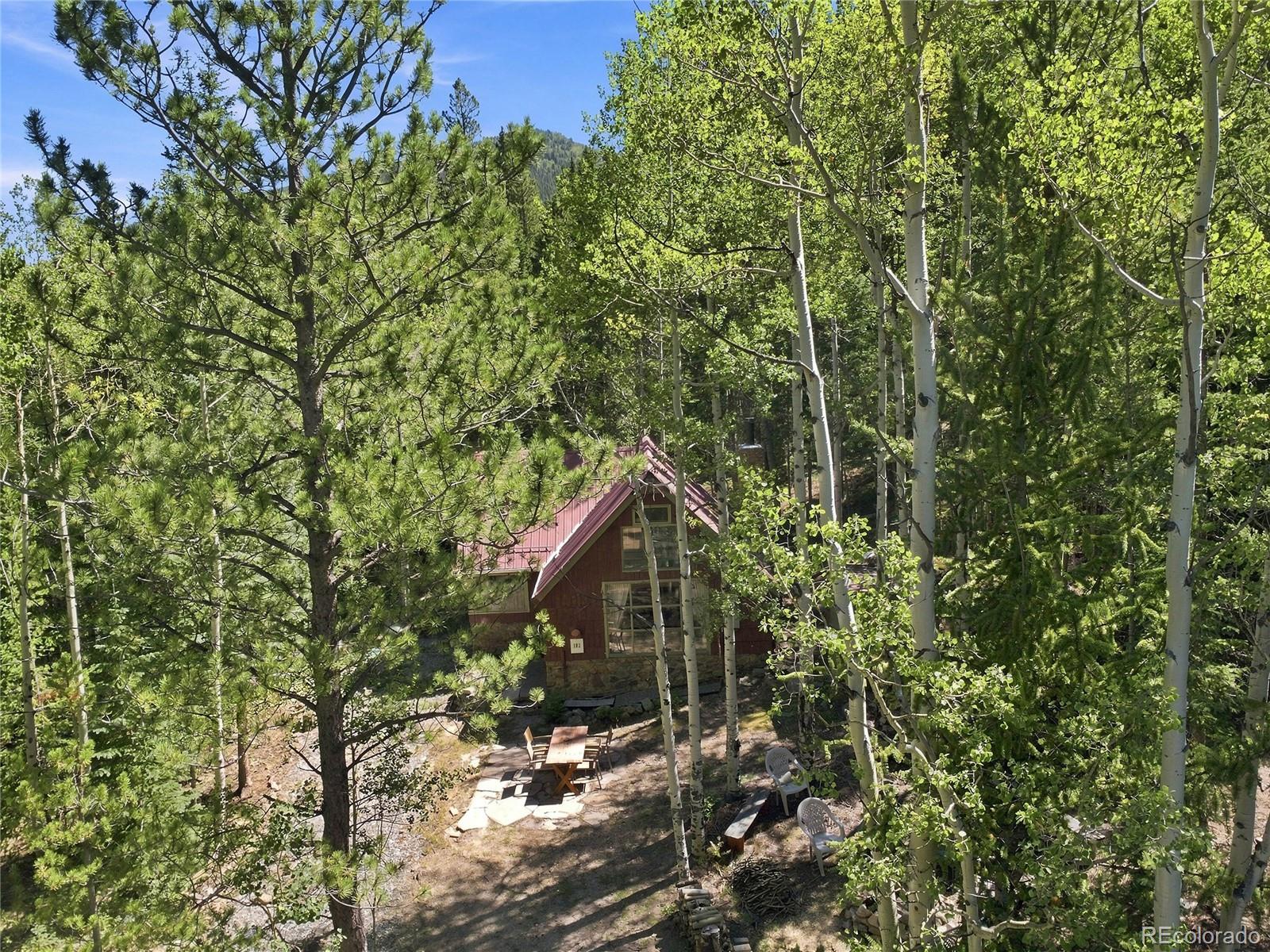 MLS Image #28 for 103  forest haven lane,idaho springs, Colorado