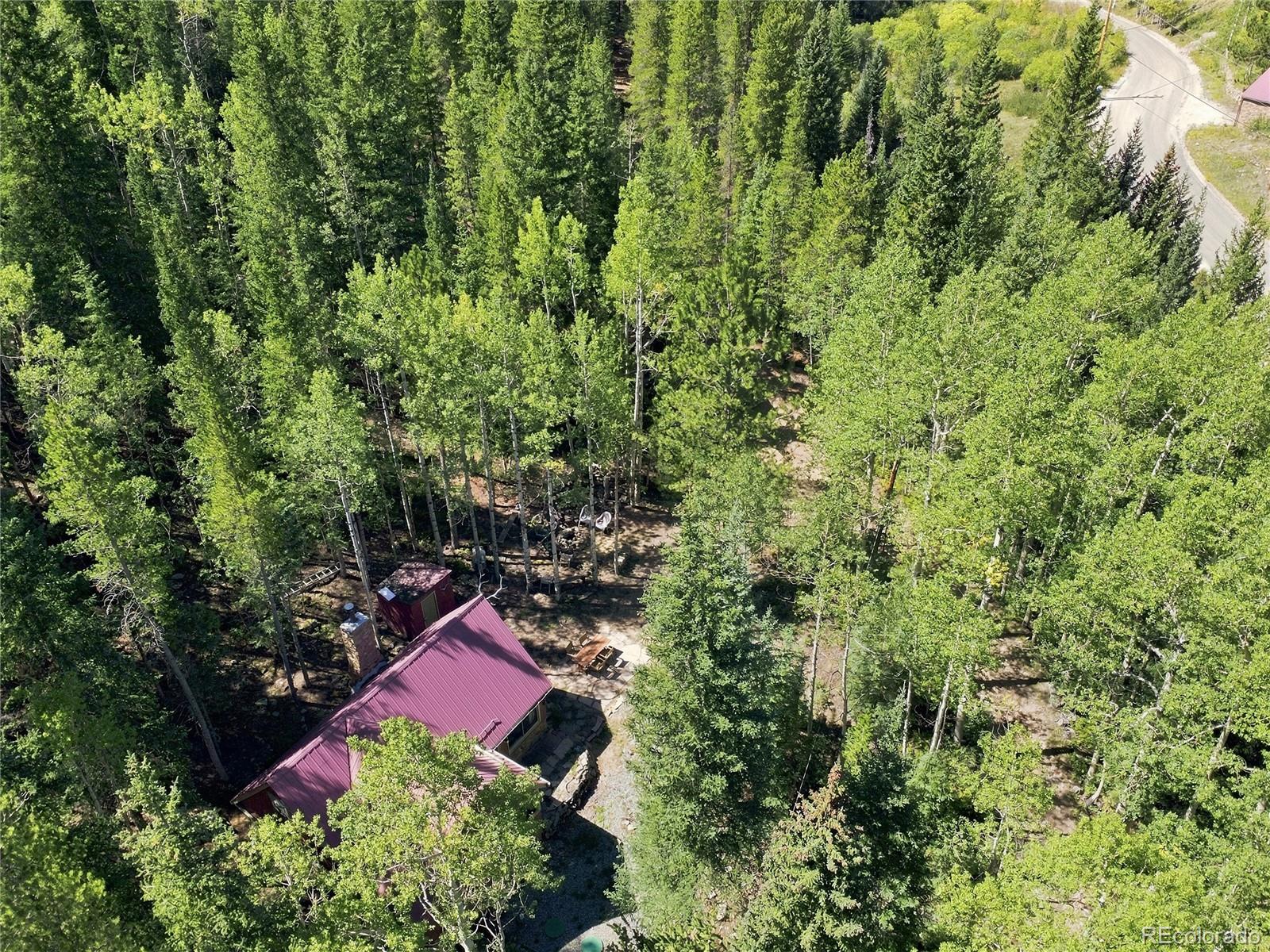 MLS Image #29 for 103  forest haven lane,idaho springs, Colorado
