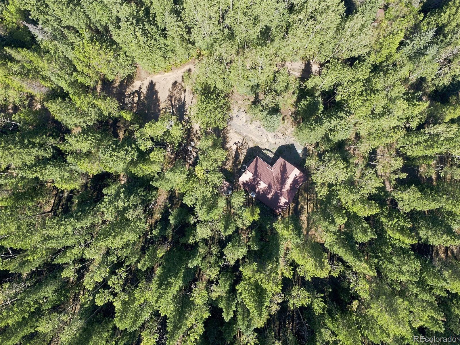 MLS Image #30 for 103  forest haven lane,idaho springs, Colorado