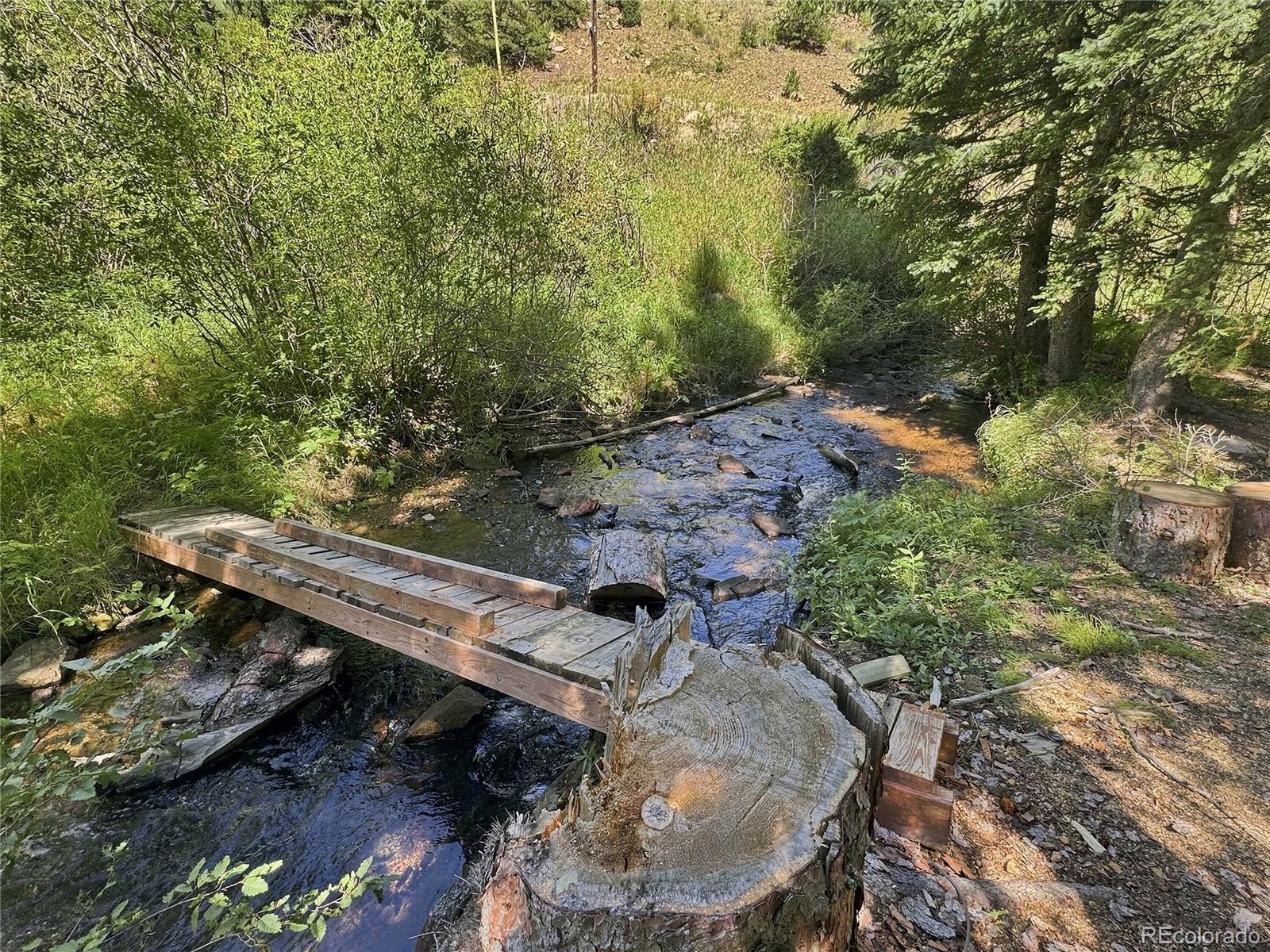 MLS Image #39 for 103  forest haven lane,idaho springs, Colorado