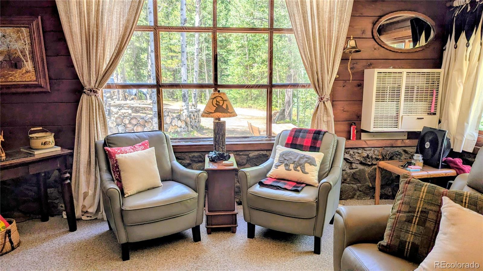 MLS Image #4 for 103  forest haven lane,idaho springs, Colorado