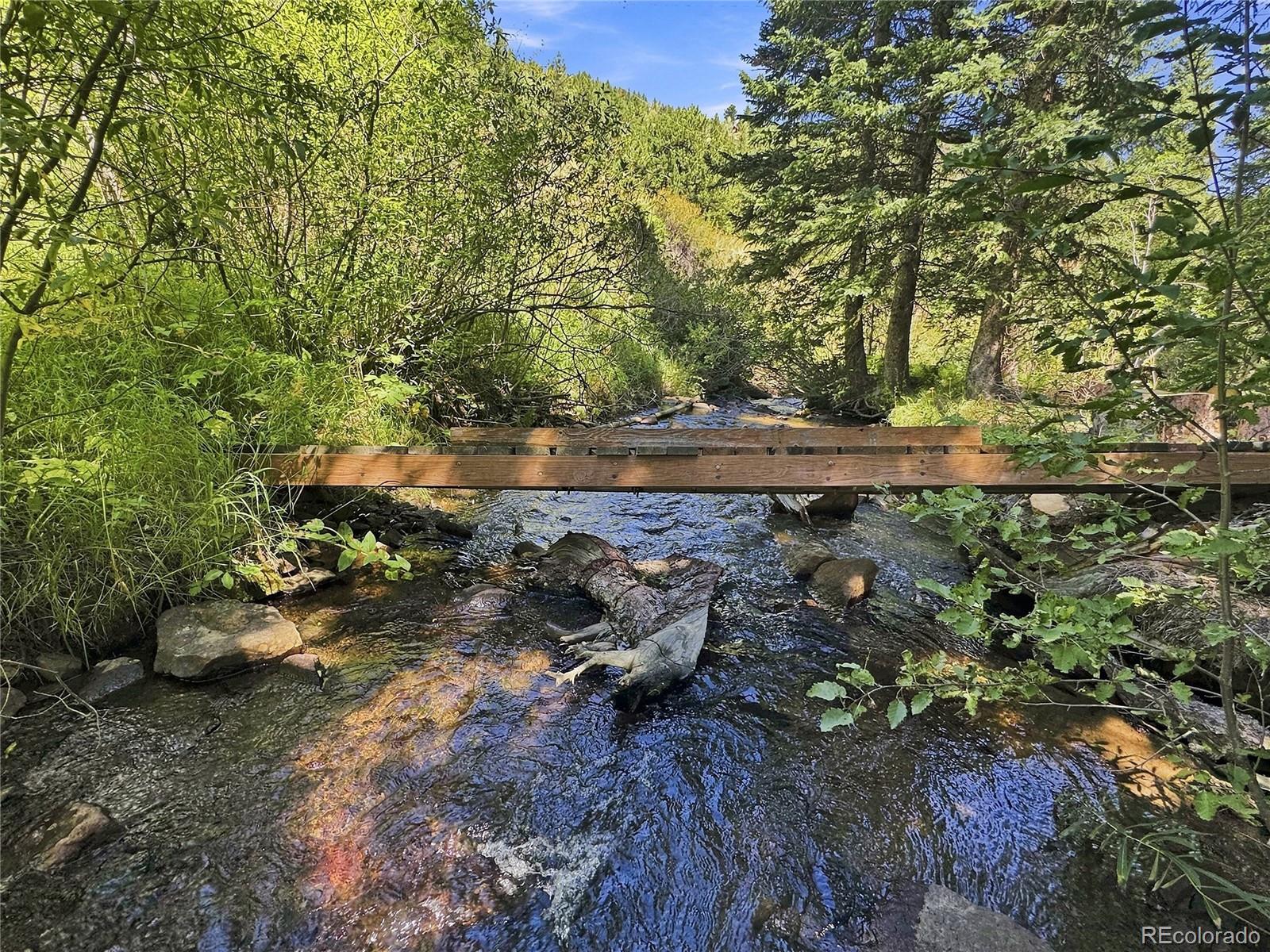 MLS Image #40 for 103  forest haven lane,idaho springs, Colorado