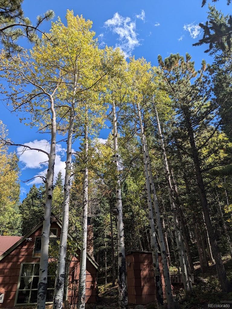MLS Image #41 for 103  forest haven lane,idaho springs, Colorado