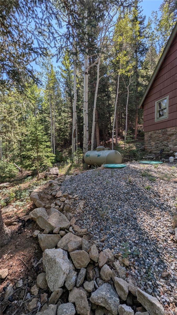 MLS Image #42 for 103  forest haven lane,idaho springs, Colorado