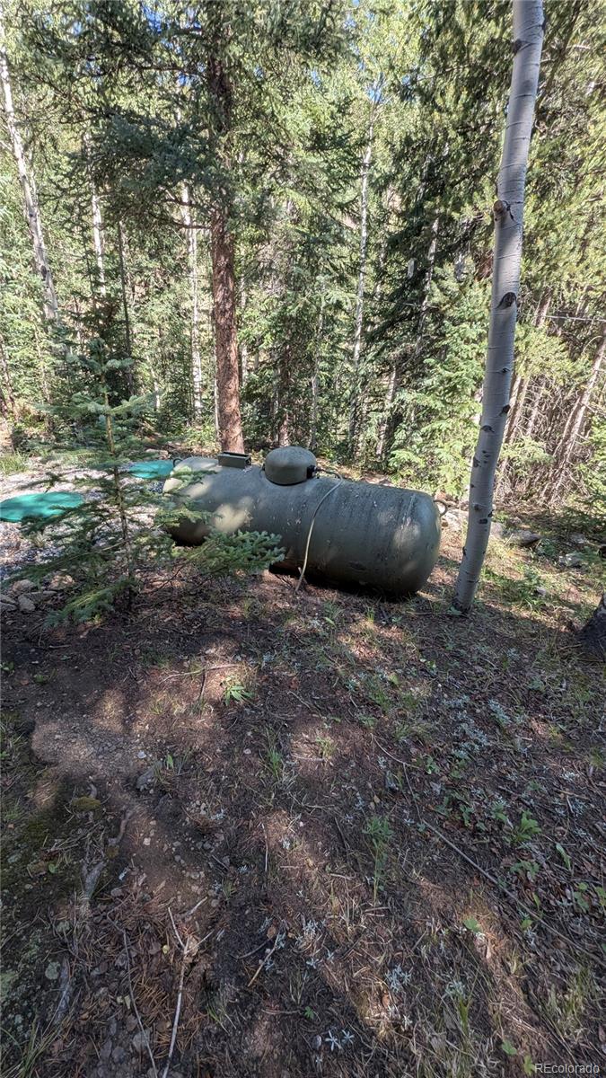 MLS Image #43 for 103  forest haven lane,idaho springs, Colorado