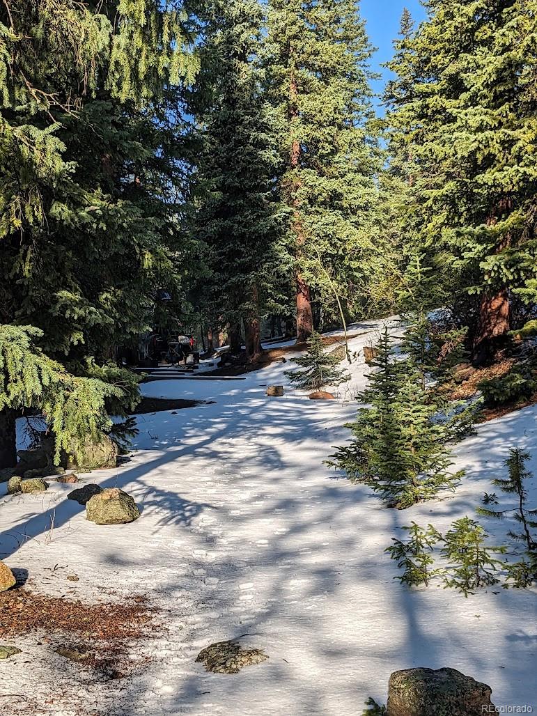 MLS Image #44 for 103  forest haven lane,idaho springs, Colorado