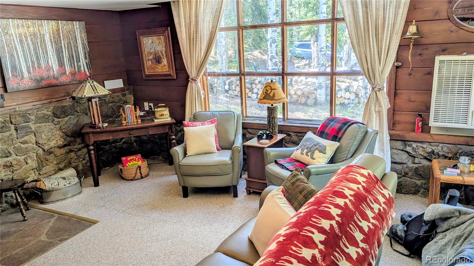 MLS Image #5 for 103  forest haven lane,idaho springs, Colorado