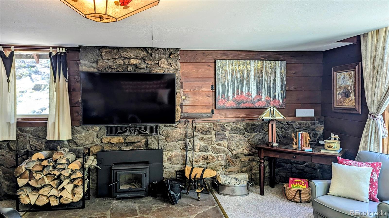 MLS Image #6 for 103  forest haven lane,idaho springs, Colorado