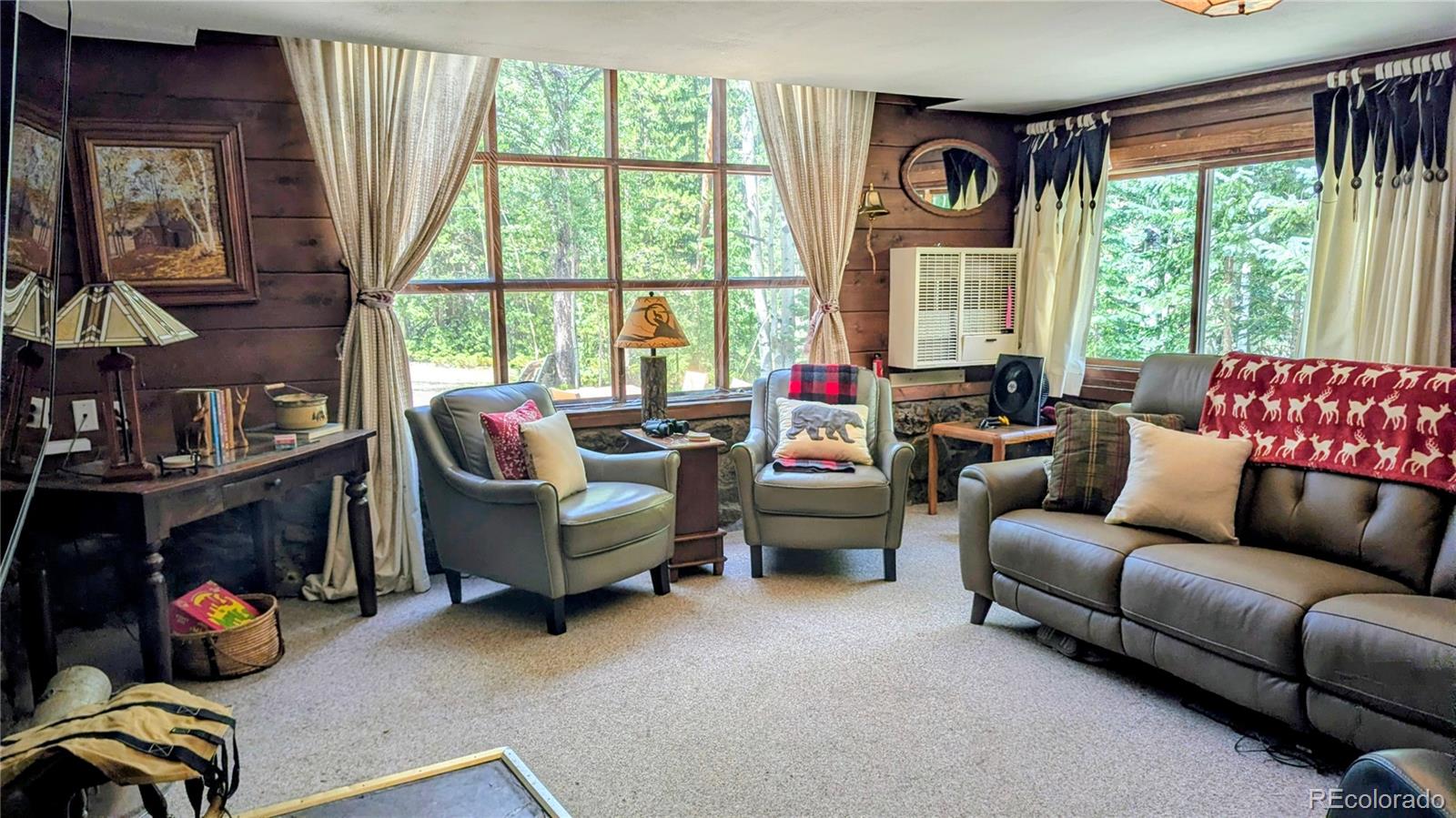 MLS Image #8 for 103  forest haven lane,idaho springs, Colorado