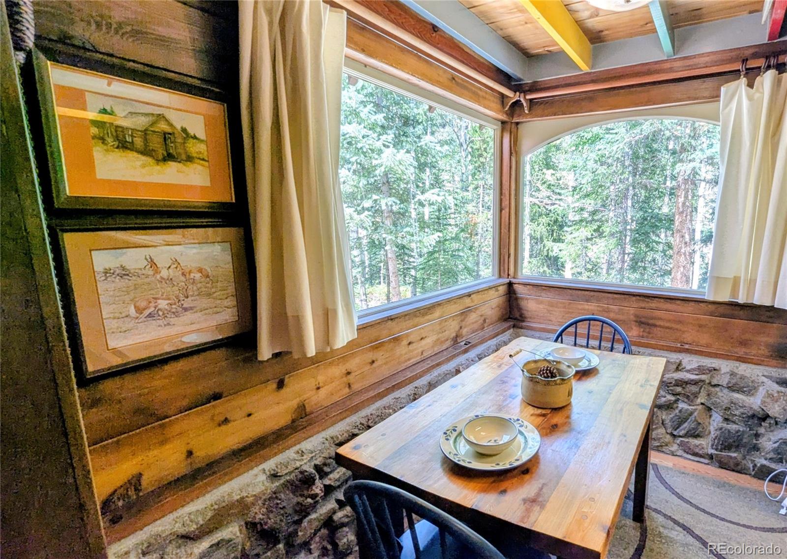 MLS Image #9 for 103  forest haven lane,idaho springs, Colorado
