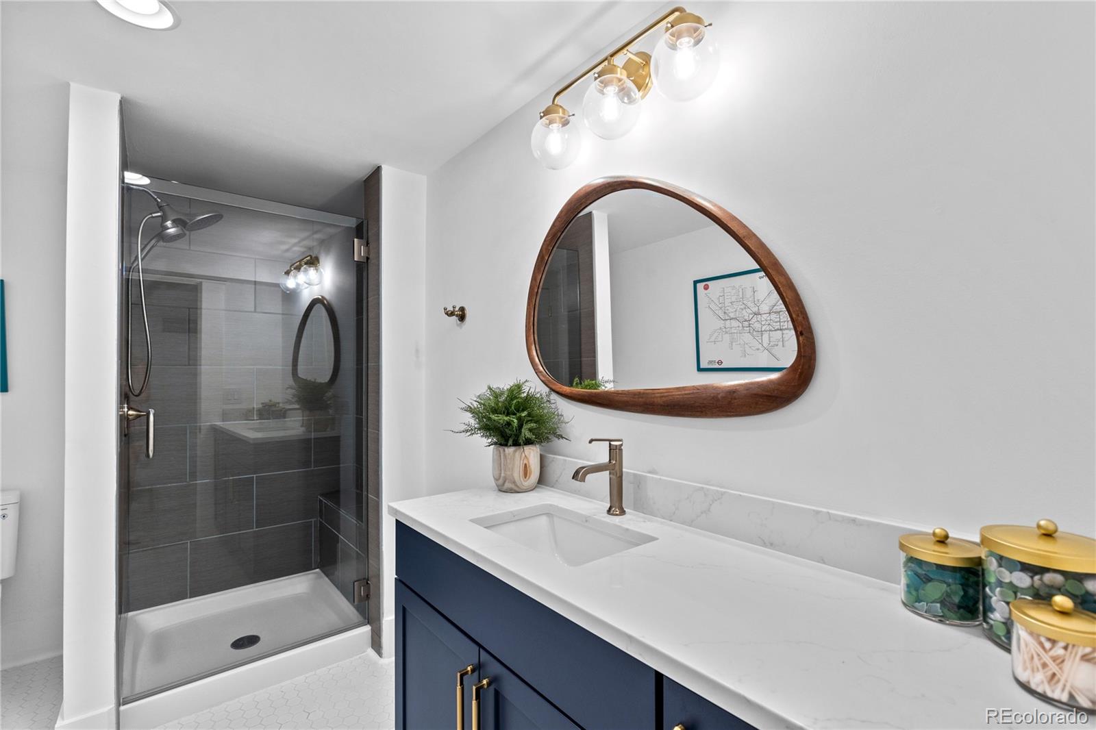 MLS Image #26 for 507 s emerson street,denver, Colorado