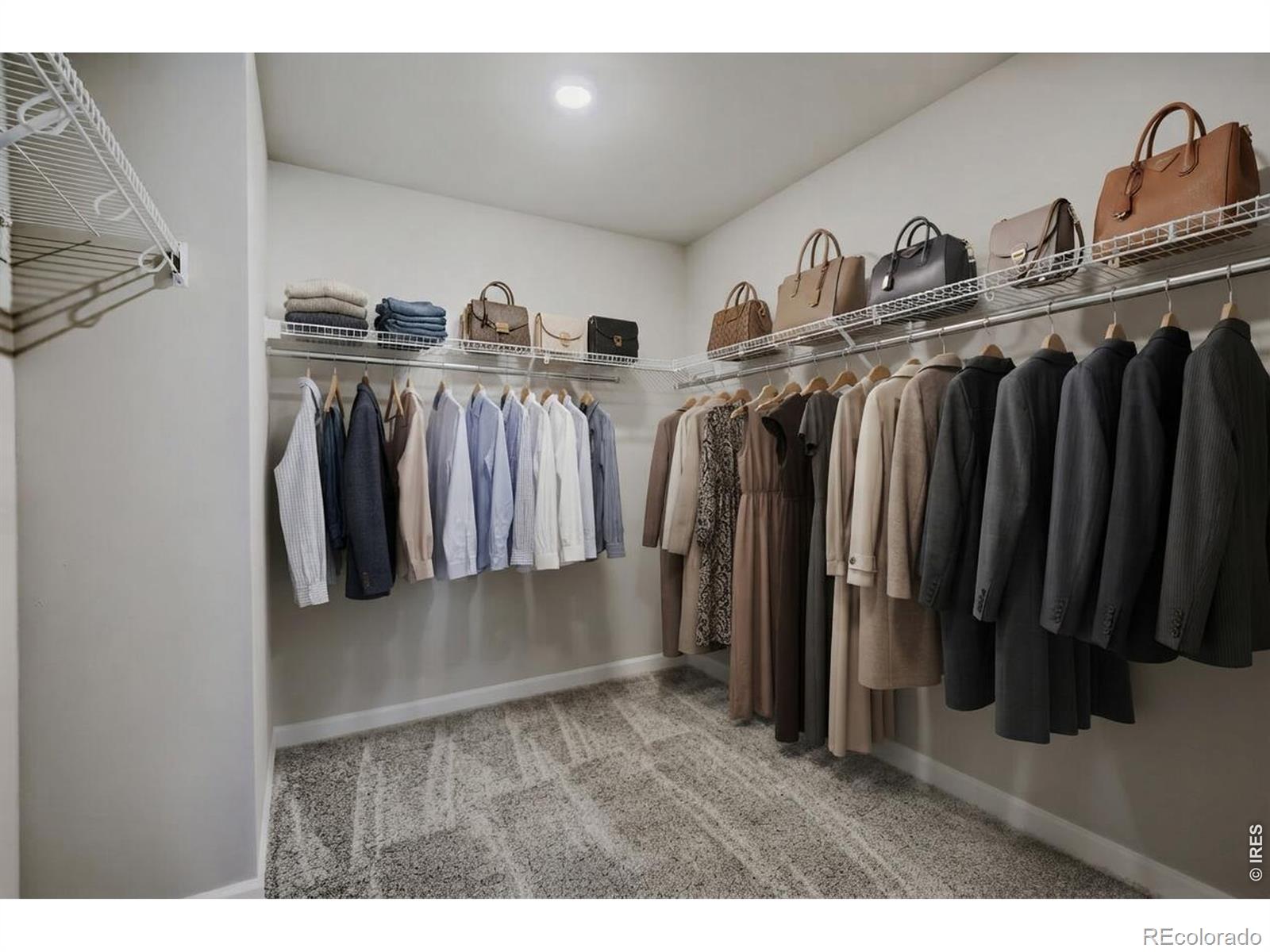 MLS Image #15 for 921  nettle lane,fort collins, Colorado