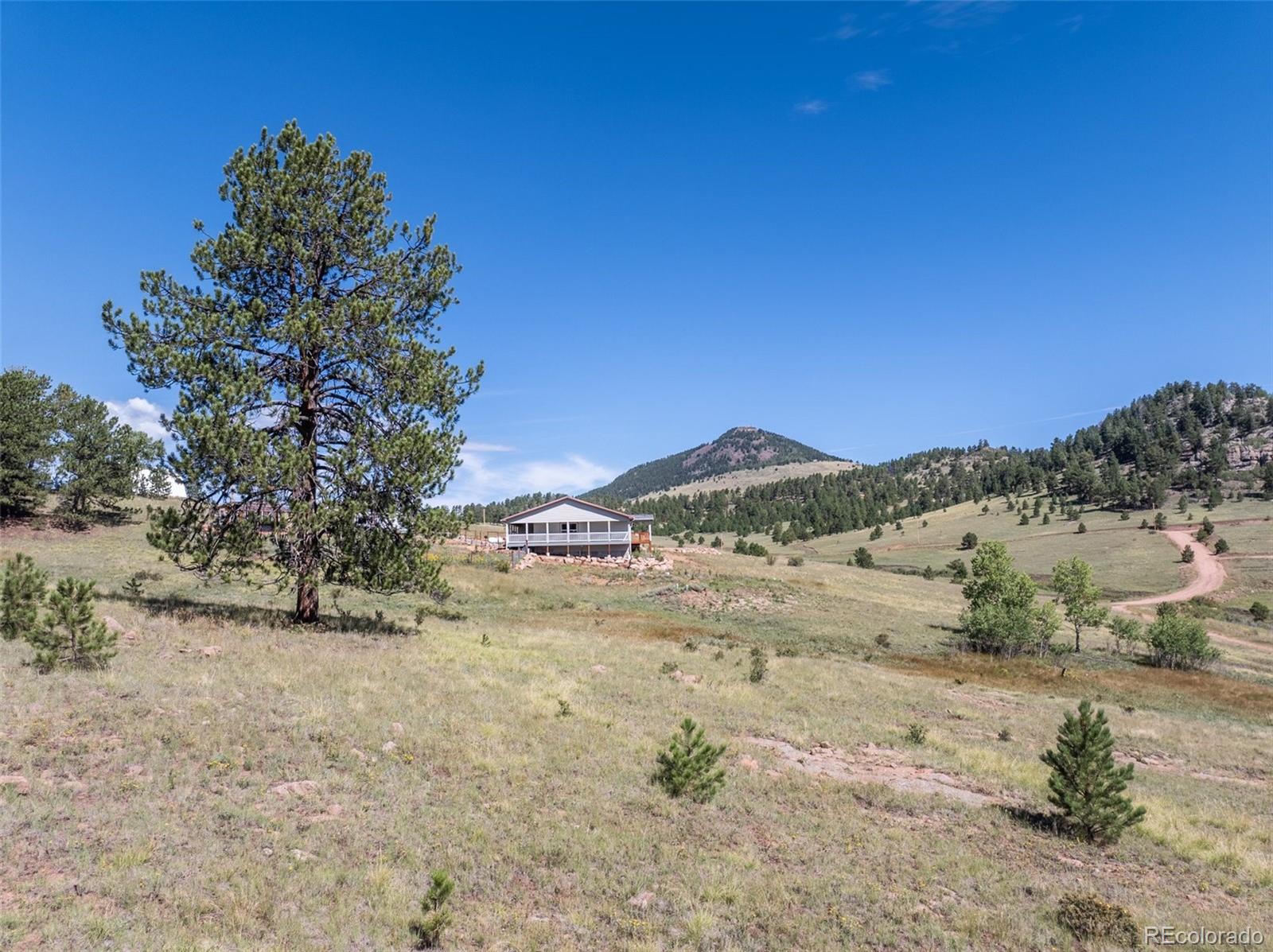 MLS Image #7 for 191  strong drive,cripple creek, Colorado