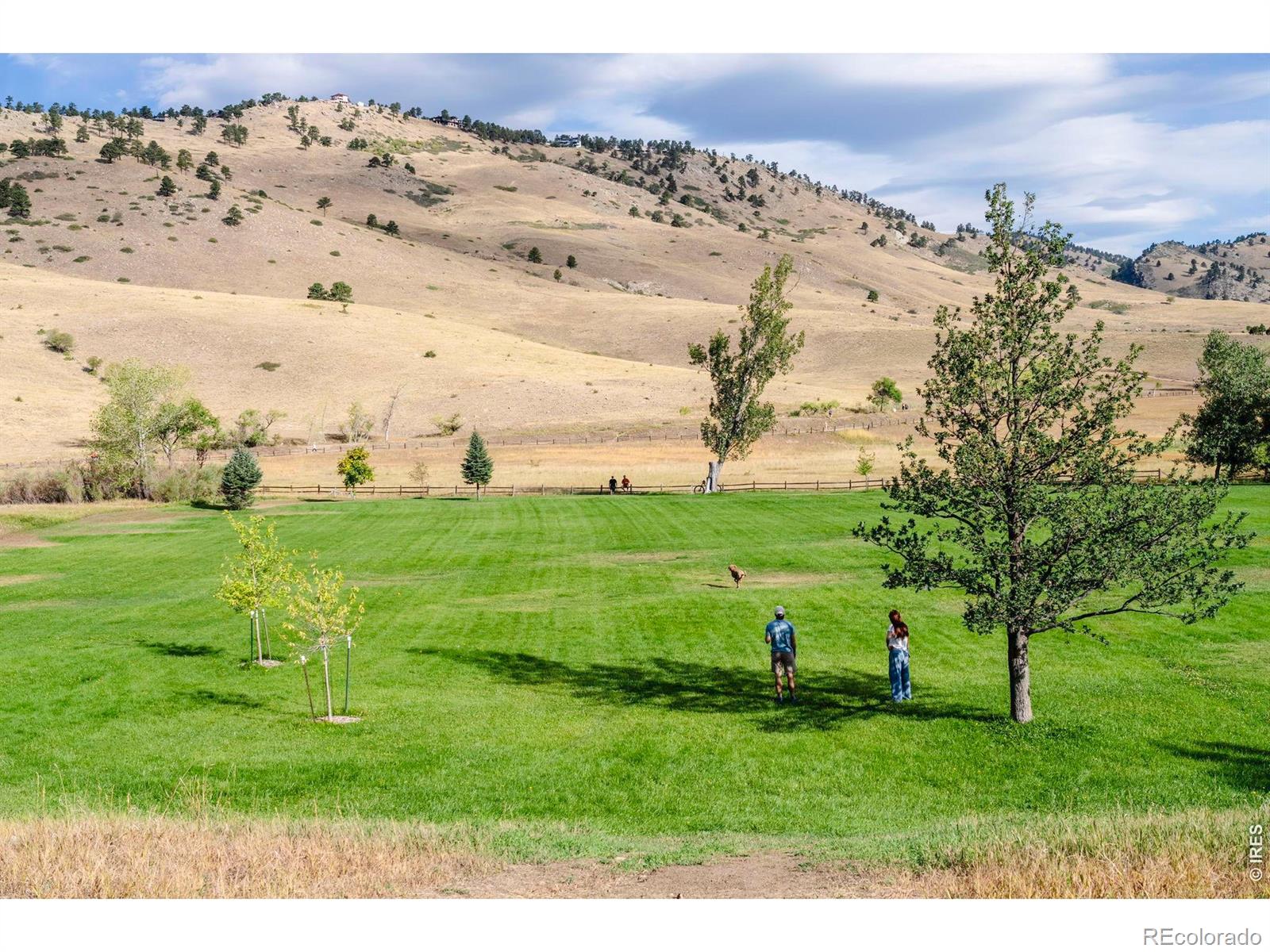 MLS Image #43 for 790  poplar avenue,boulder, Colorado