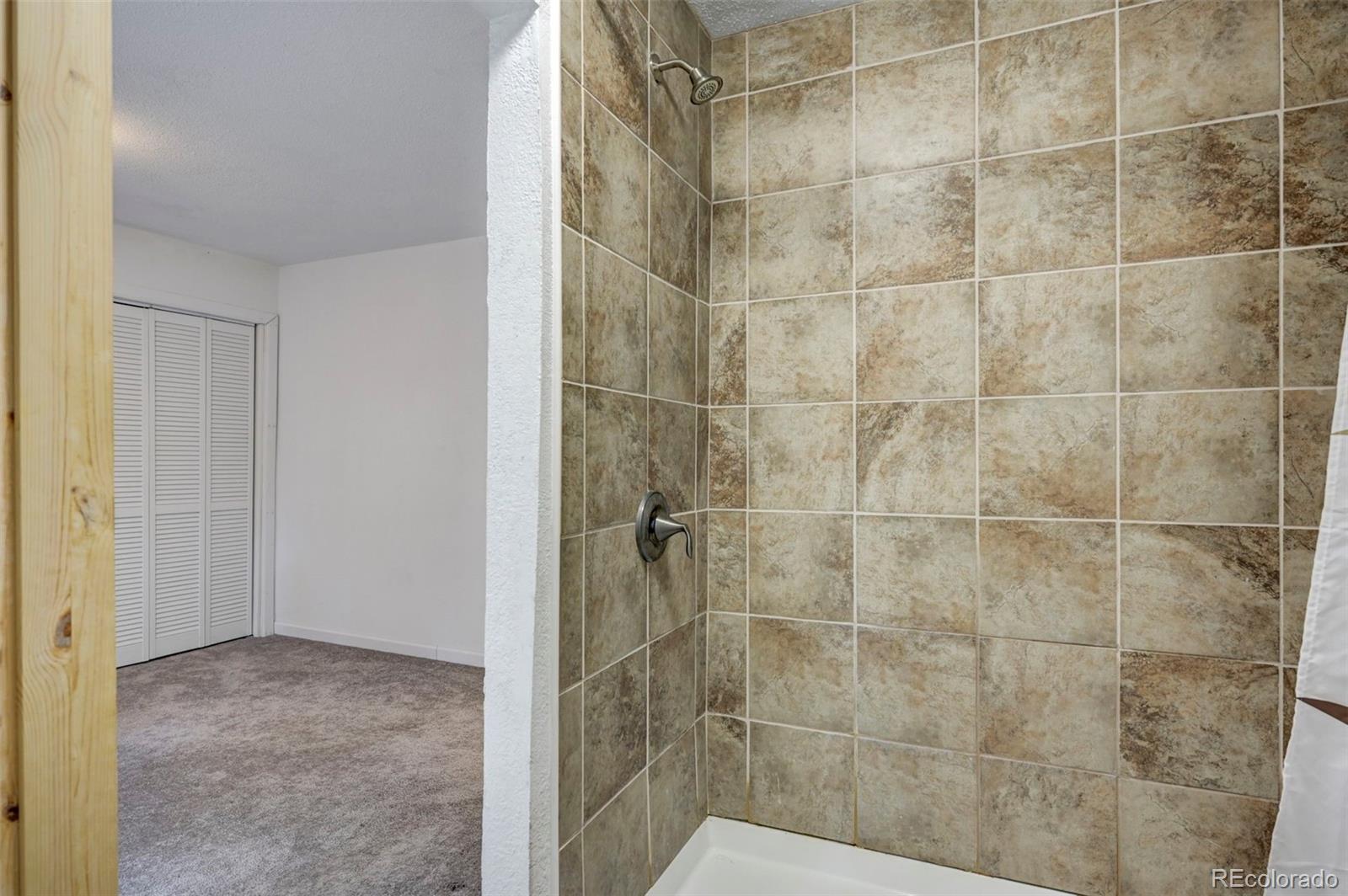 MLS Image #14 for 10689  charles lane,rye, Colorado