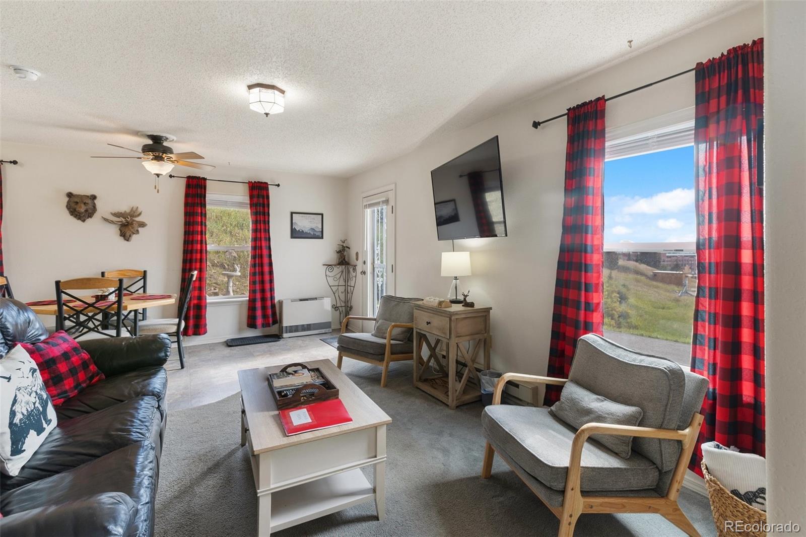 MLS Image #11 for 614  lode avenue,cripple creek, Colorado