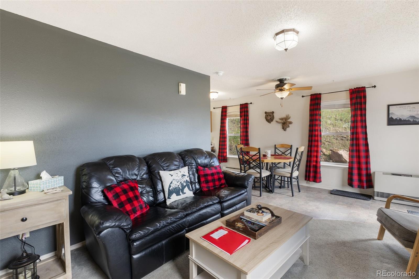 MLS Image #8 for 614  lode avenue,cripple creek, Colorado