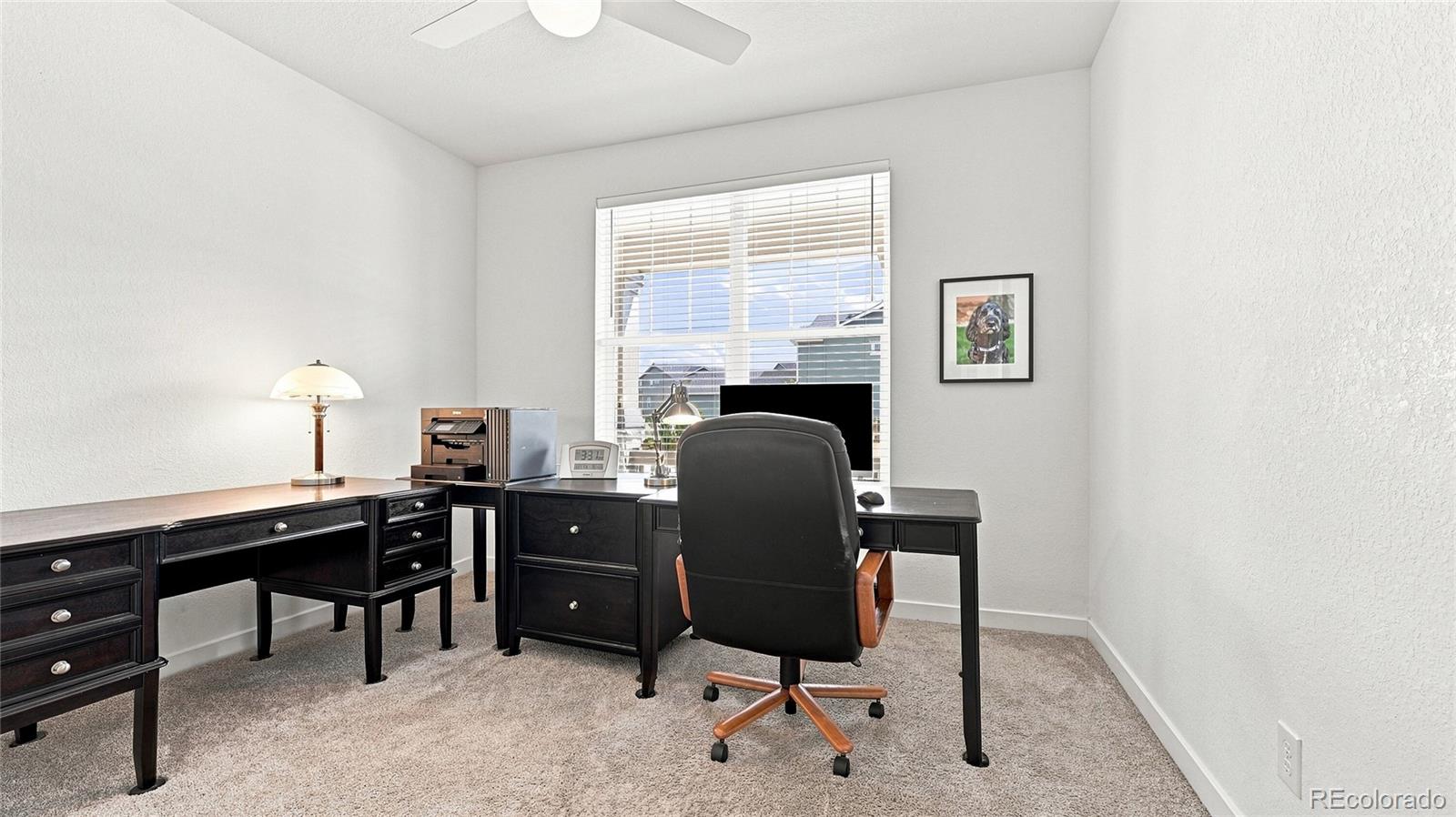 MLS Image #10 for 2573  knobbie circle,castle rock, Colorado