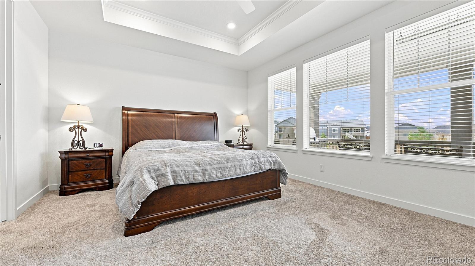MLS Image #7 for 2573  knobbie circle,castle rock, Colorado