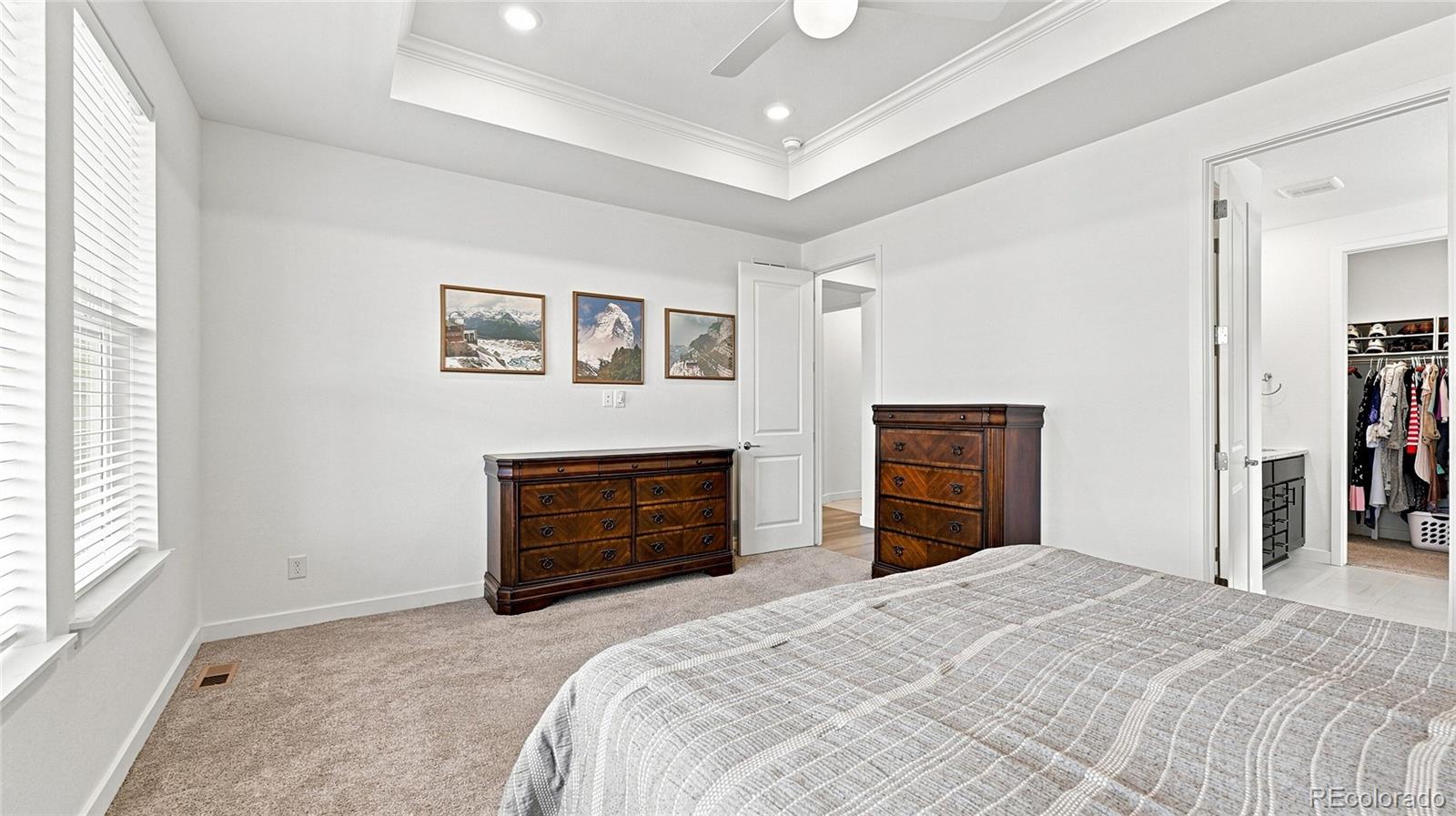 MLS Image #8 for 2573  knobbie circle,castle rock, Colorado