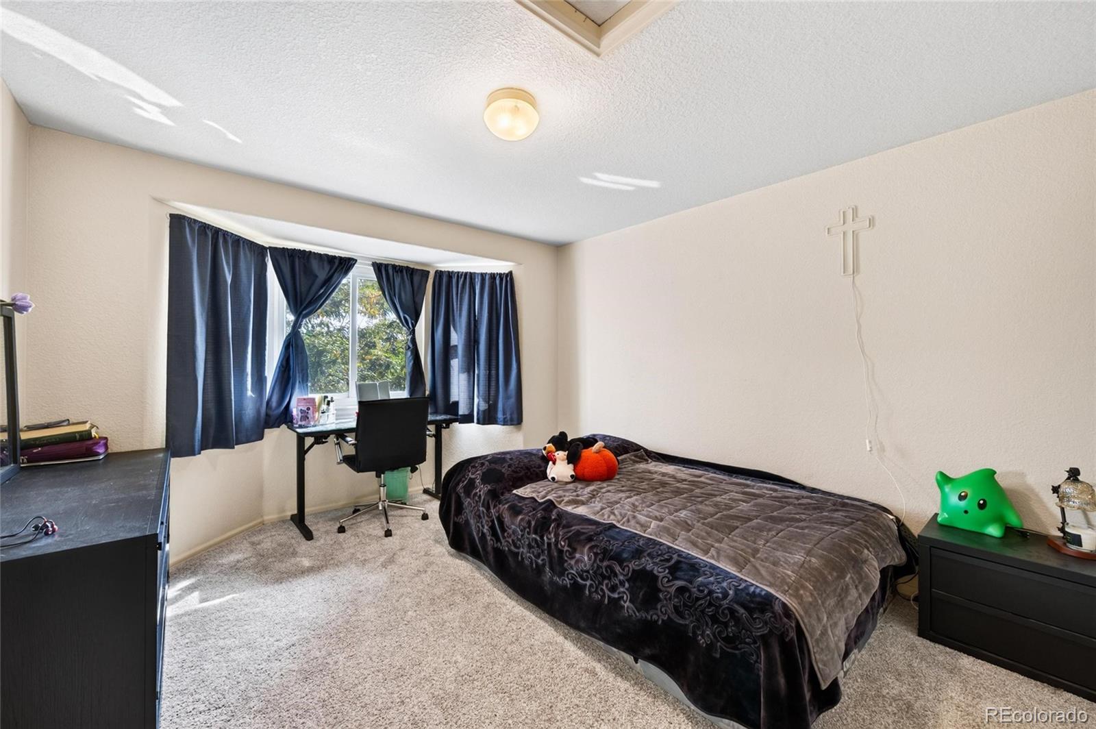 MLS Image #21 for 13909  dahlia street,thornton, Colorado