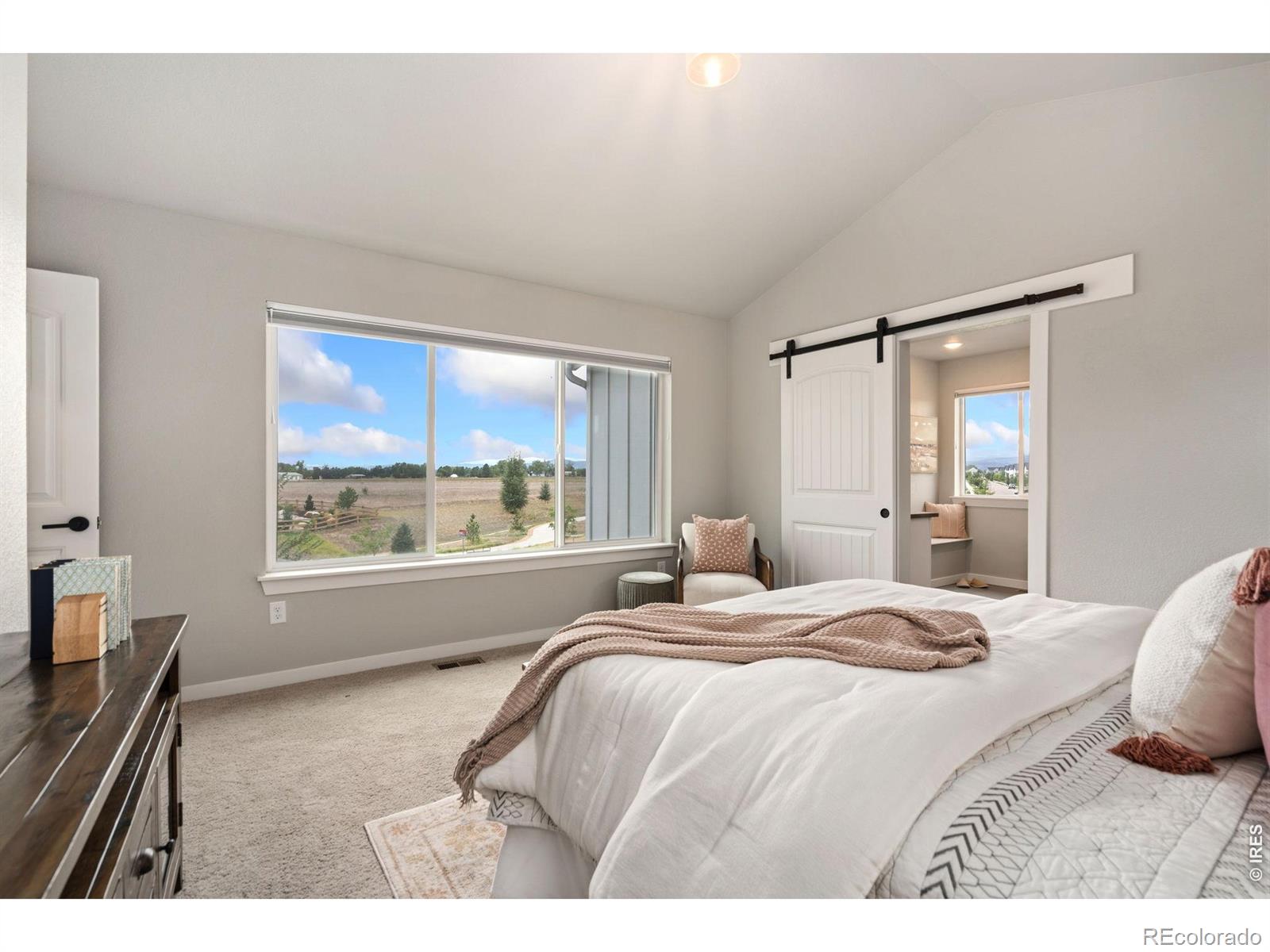 MLS Image #11 for 5069  john muir drive,timnath, Colorado