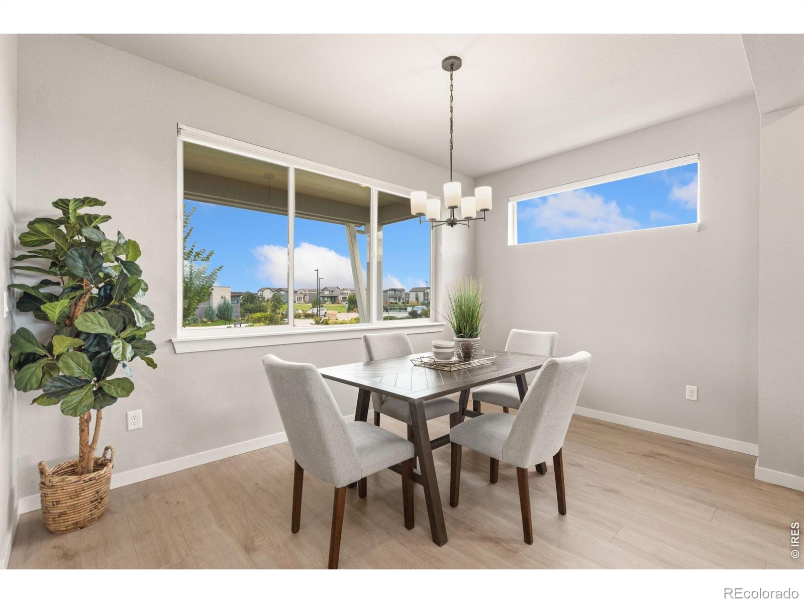 MLS Image #5 for 5069  john muir drive,timnath, Colorado
