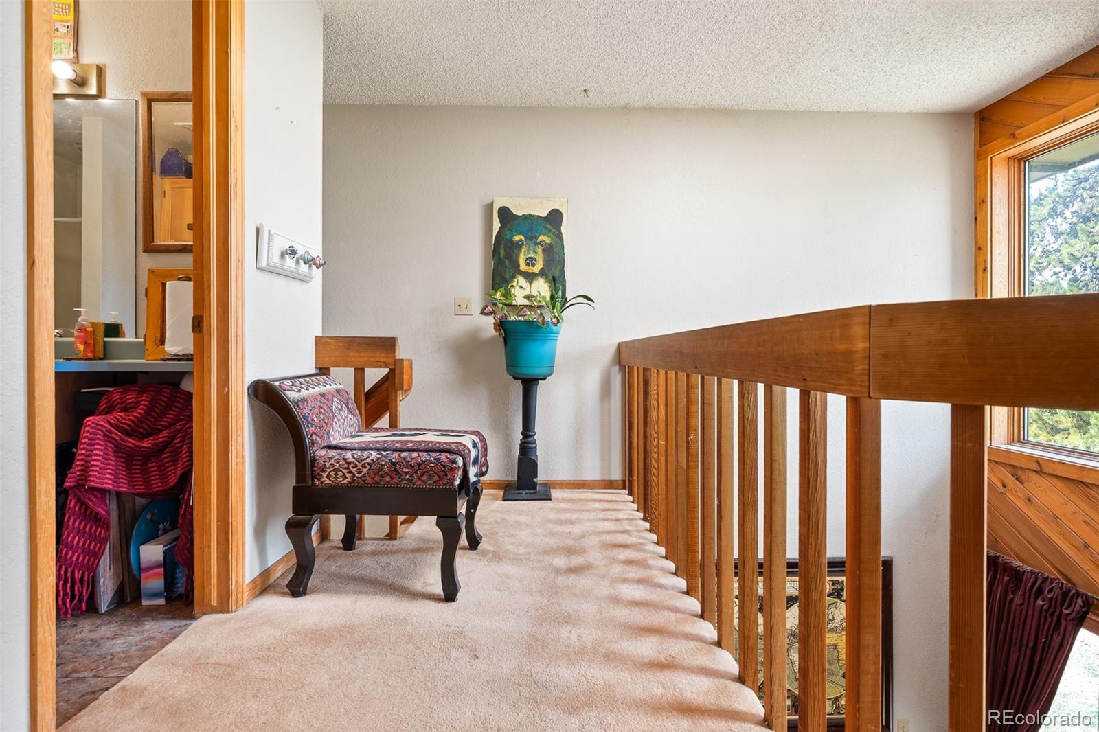 MLS Image #19 for 371  county road 4421 ,grand lake, Colorado