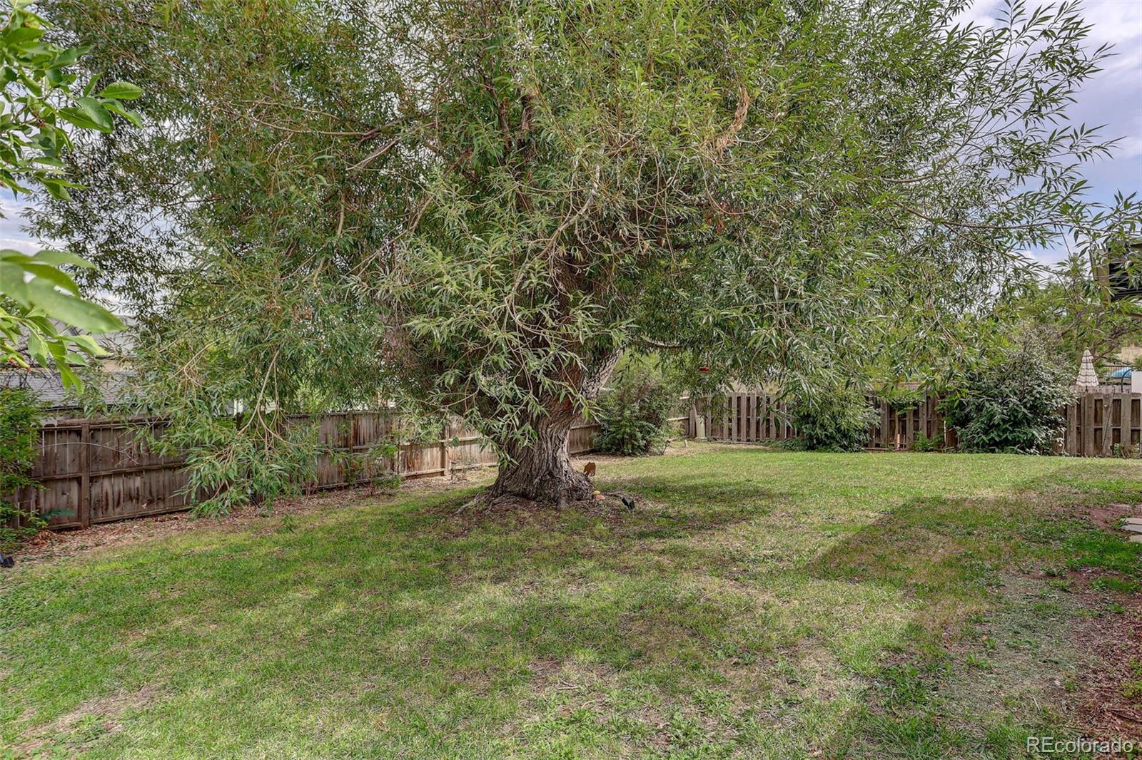 MLS Image #32 for 1374  dover street,broomfield, Colorado