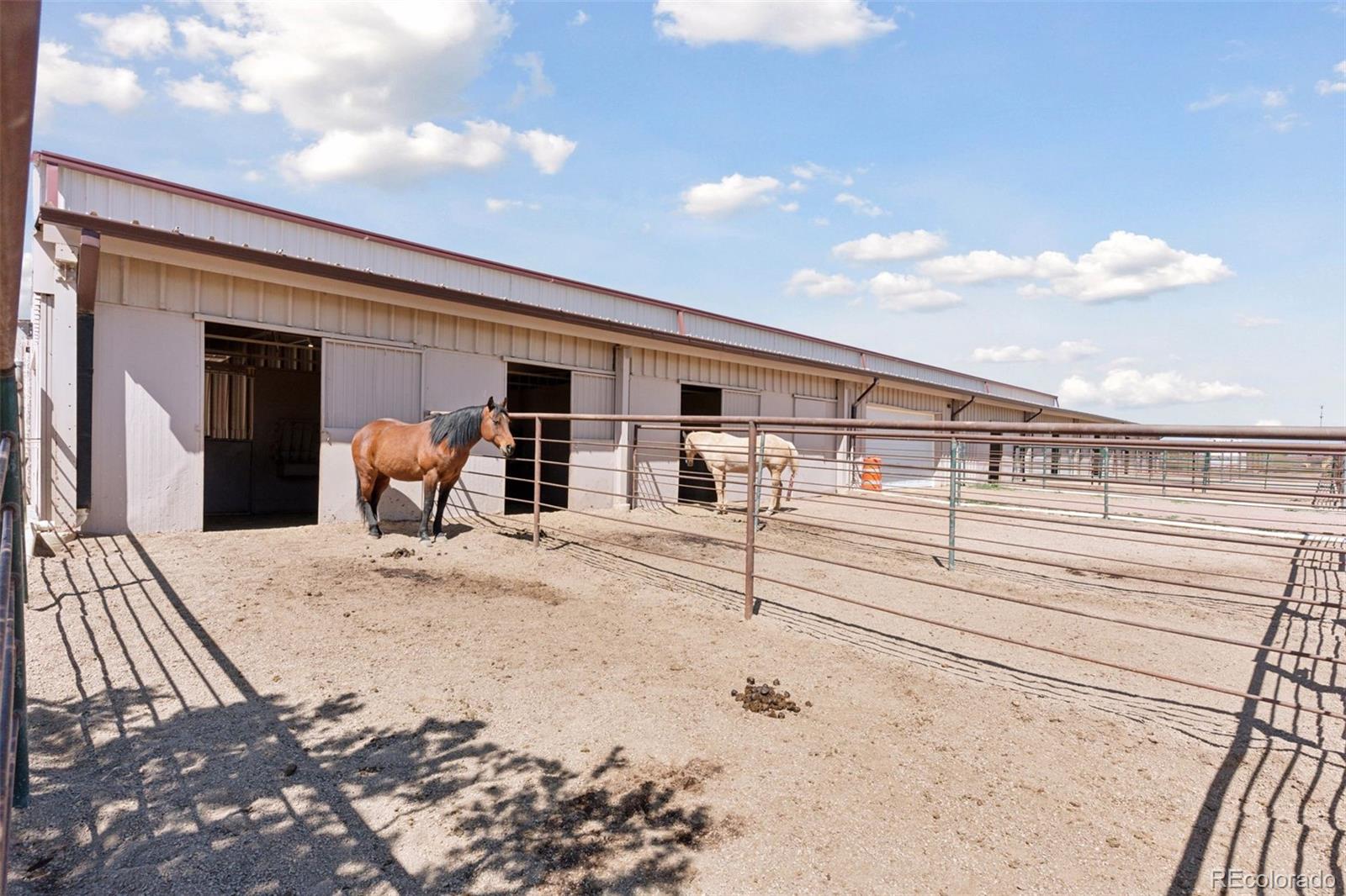 MLS Image #29 for 16992  old pueblo road,fountain, Colorado