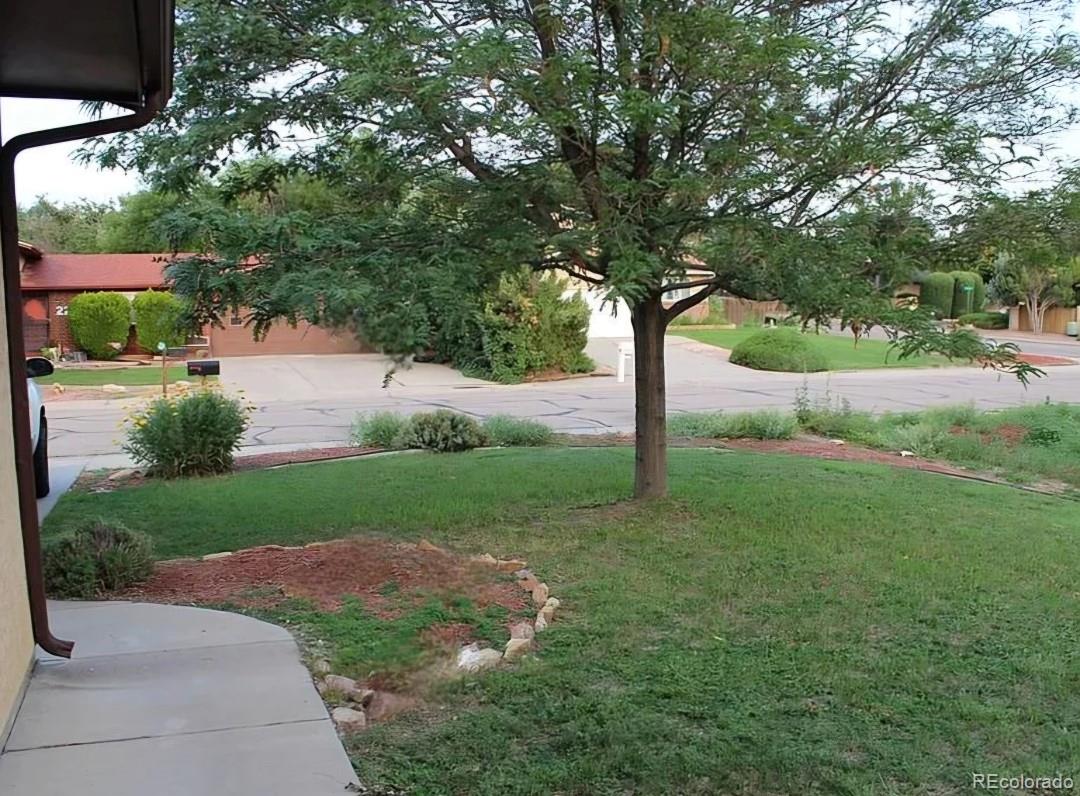 MLS Image #4 for 2  bitterweed court,pueblo, Colorado