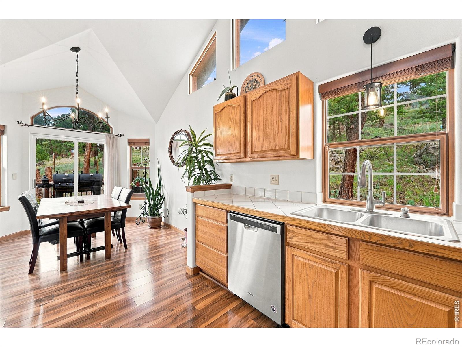 MLS Image #10 for 313  deer trail drive,bailey, Colorado