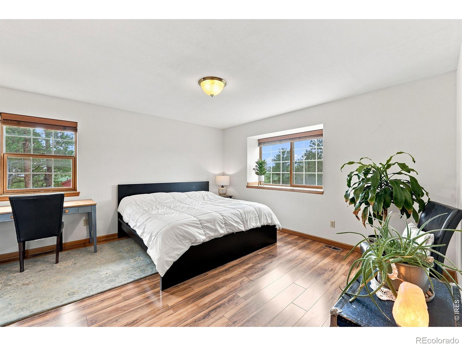MLS Image #11 for 313  deer trail drive,bailey, Colorado