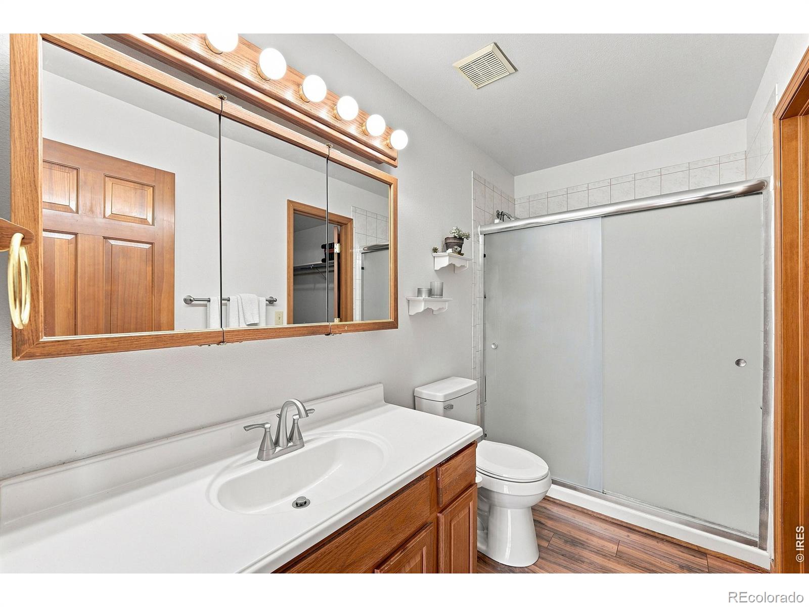 MLS Image #13 for 313  deer trail drive,bailey, Colorado
