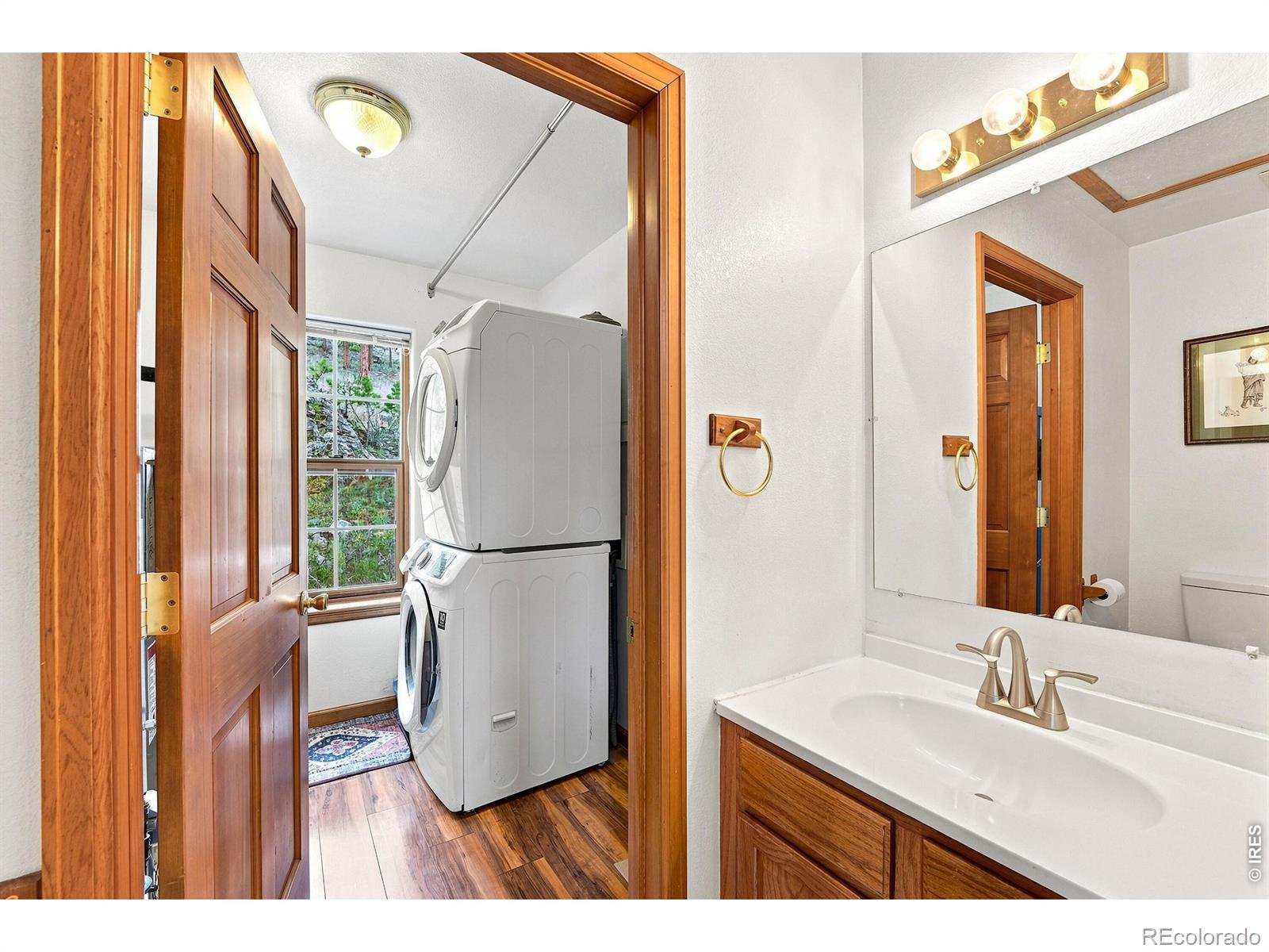 MLS Image #15 for 313  deer trail drive,bailey, Colorado