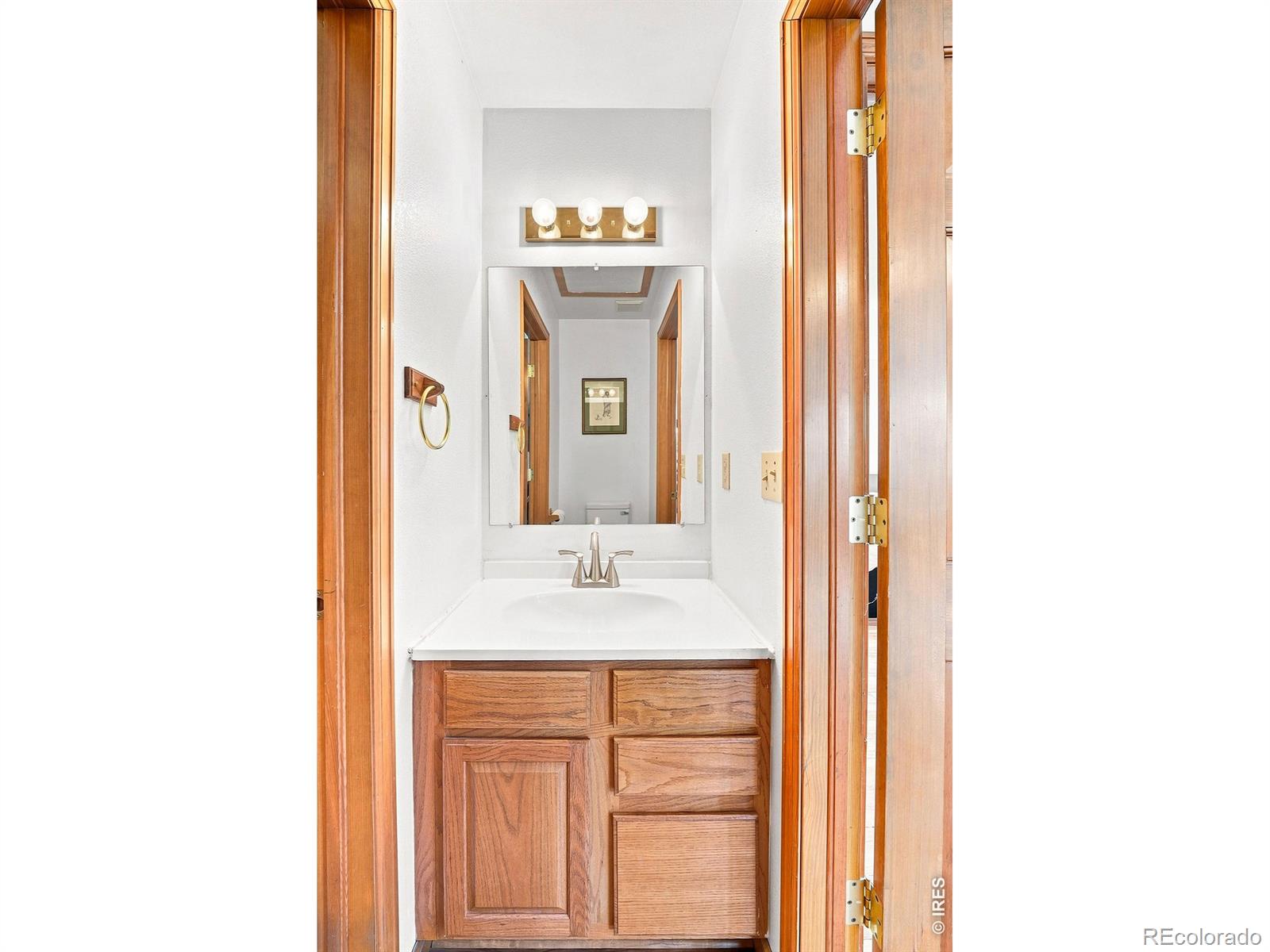 MLS Image #16 for 313  deer trail drive,bailey, Colorado