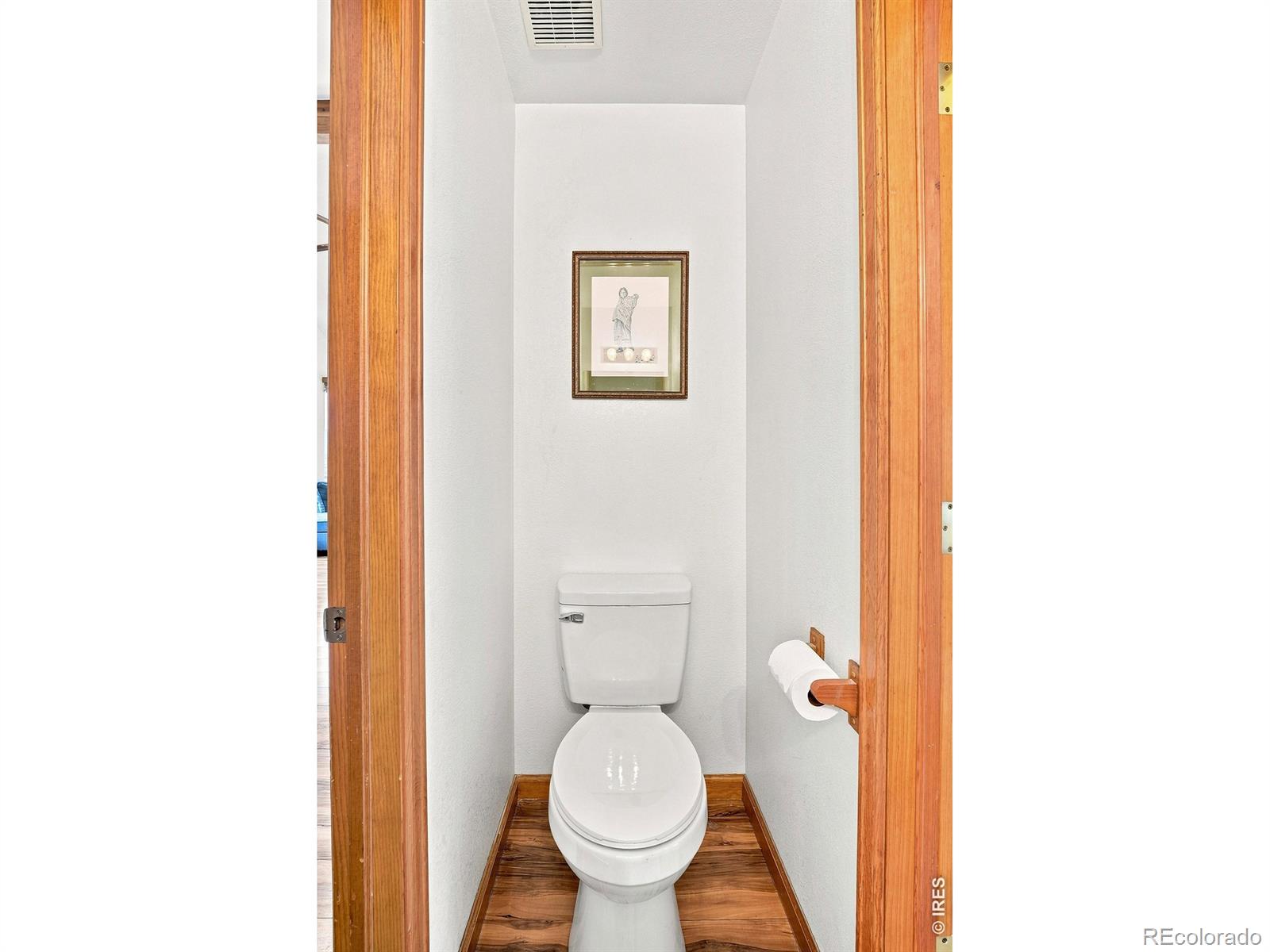 MLS Image #17 for 313  deer trail drive,bailey, Colorado