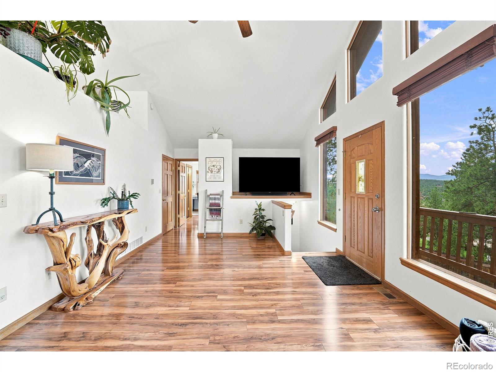 MLS Image #2 for 313  deer trail drive,bailey, Colorado